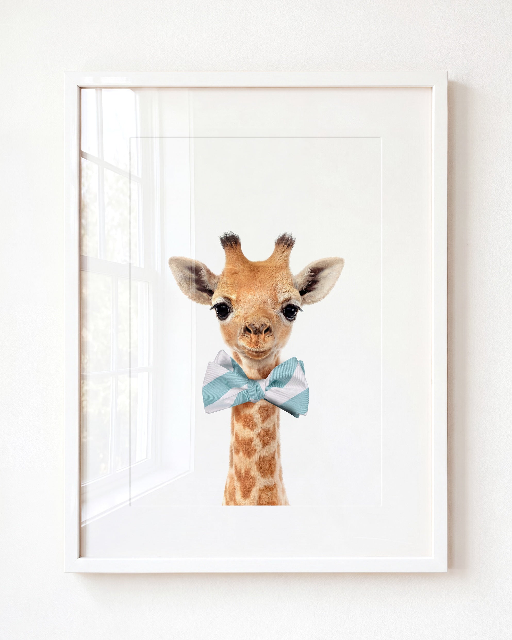 Baby Giraffe