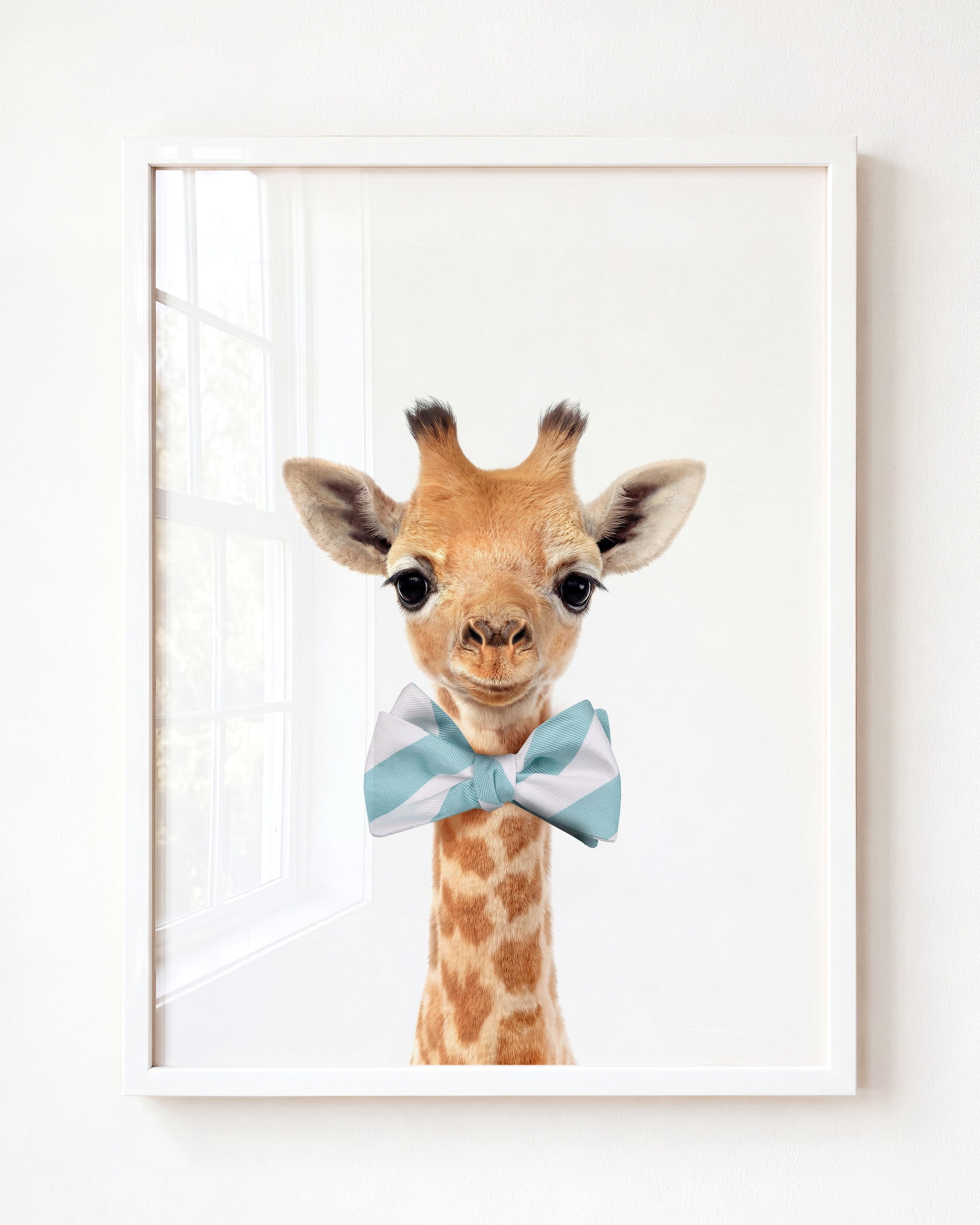 Baby Giraffe