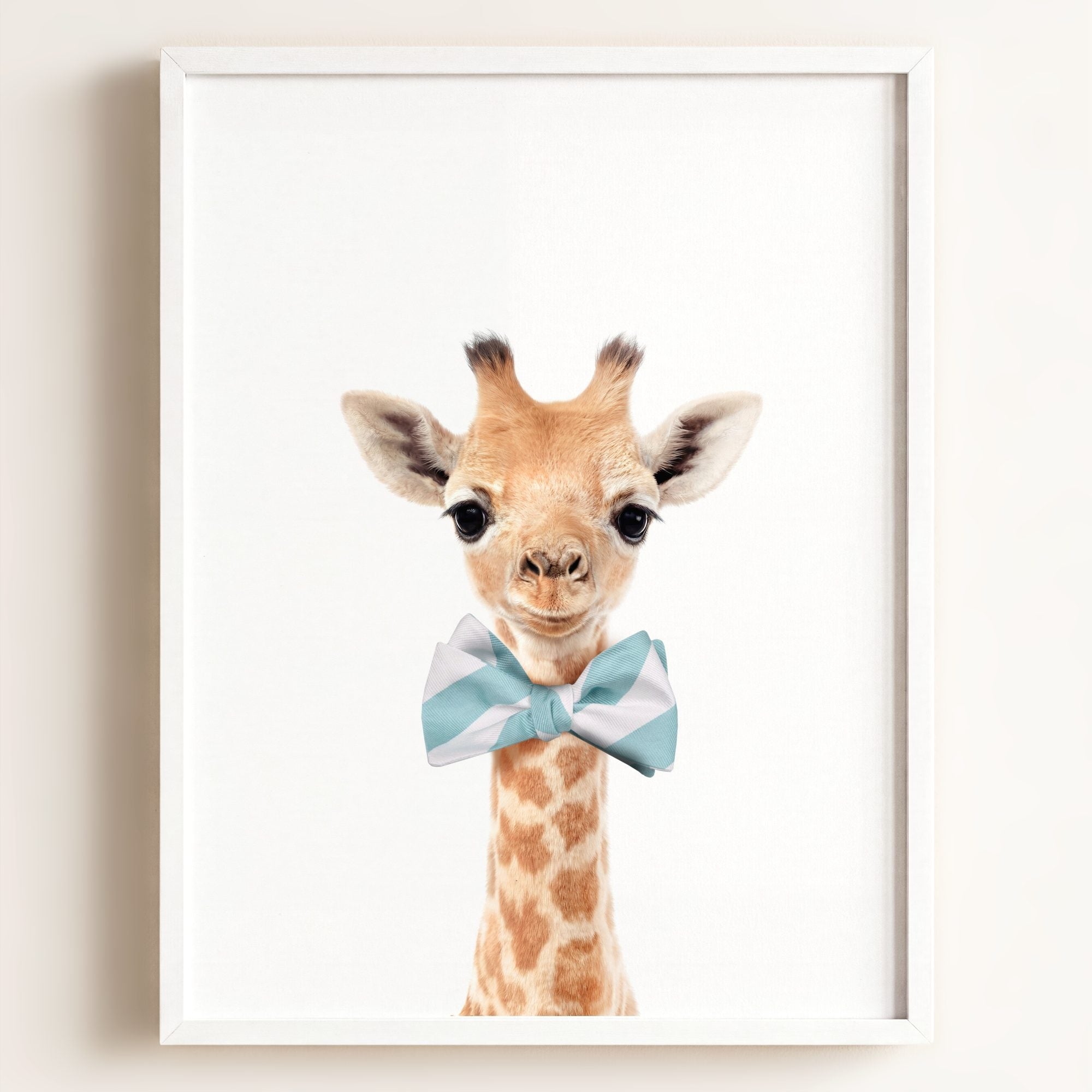 Baby Giraffe