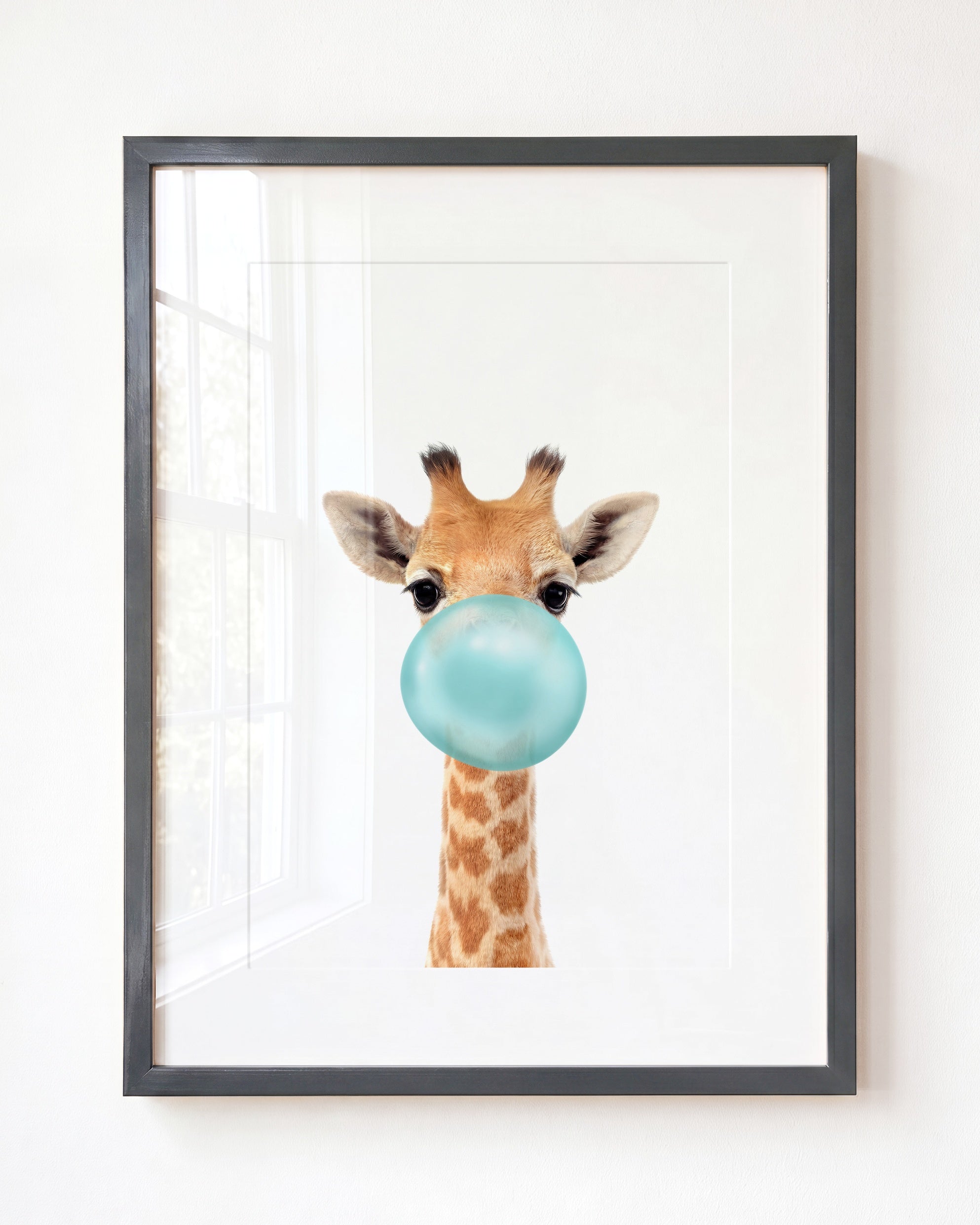 Baby Giraffe