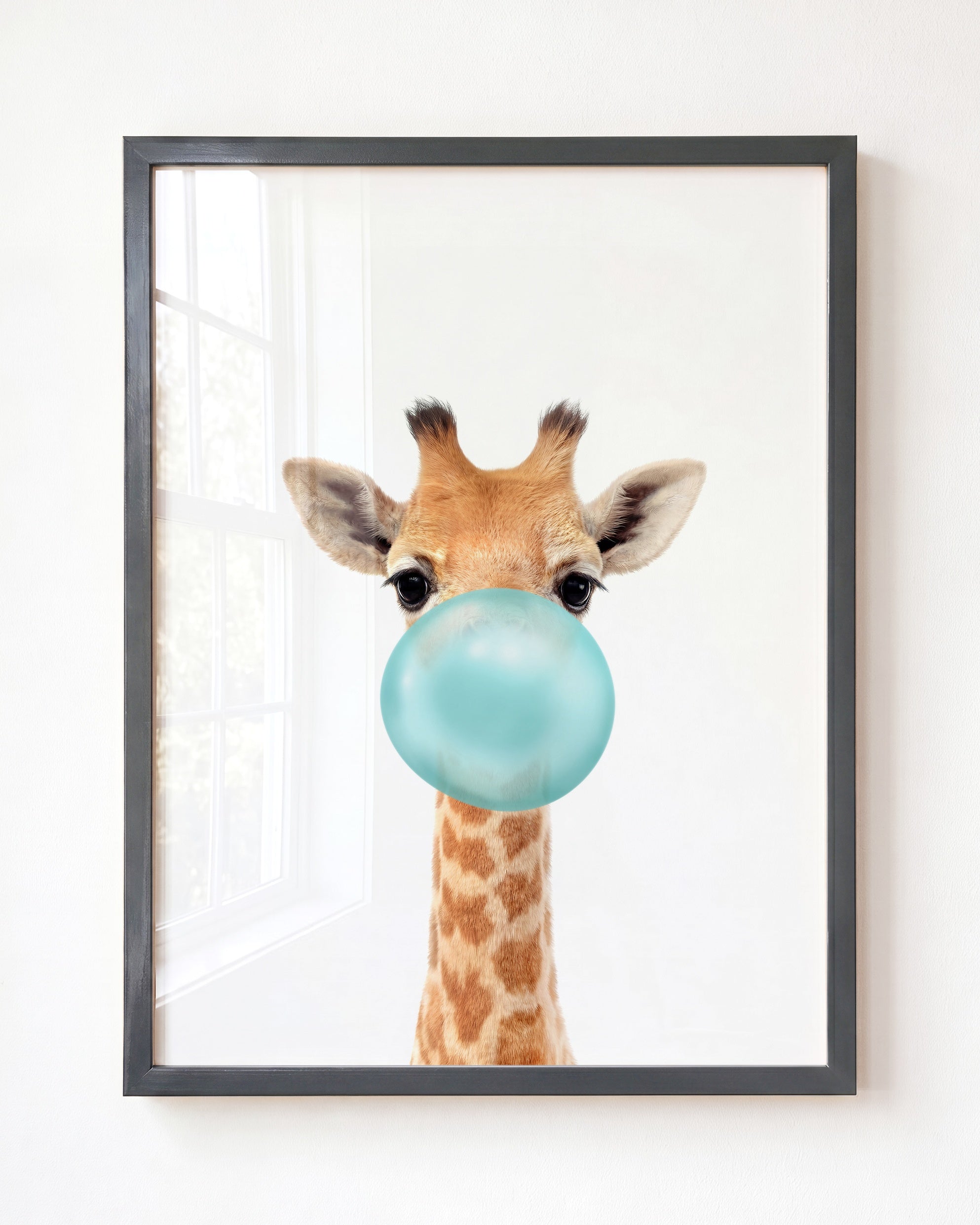 Baby Giraffe