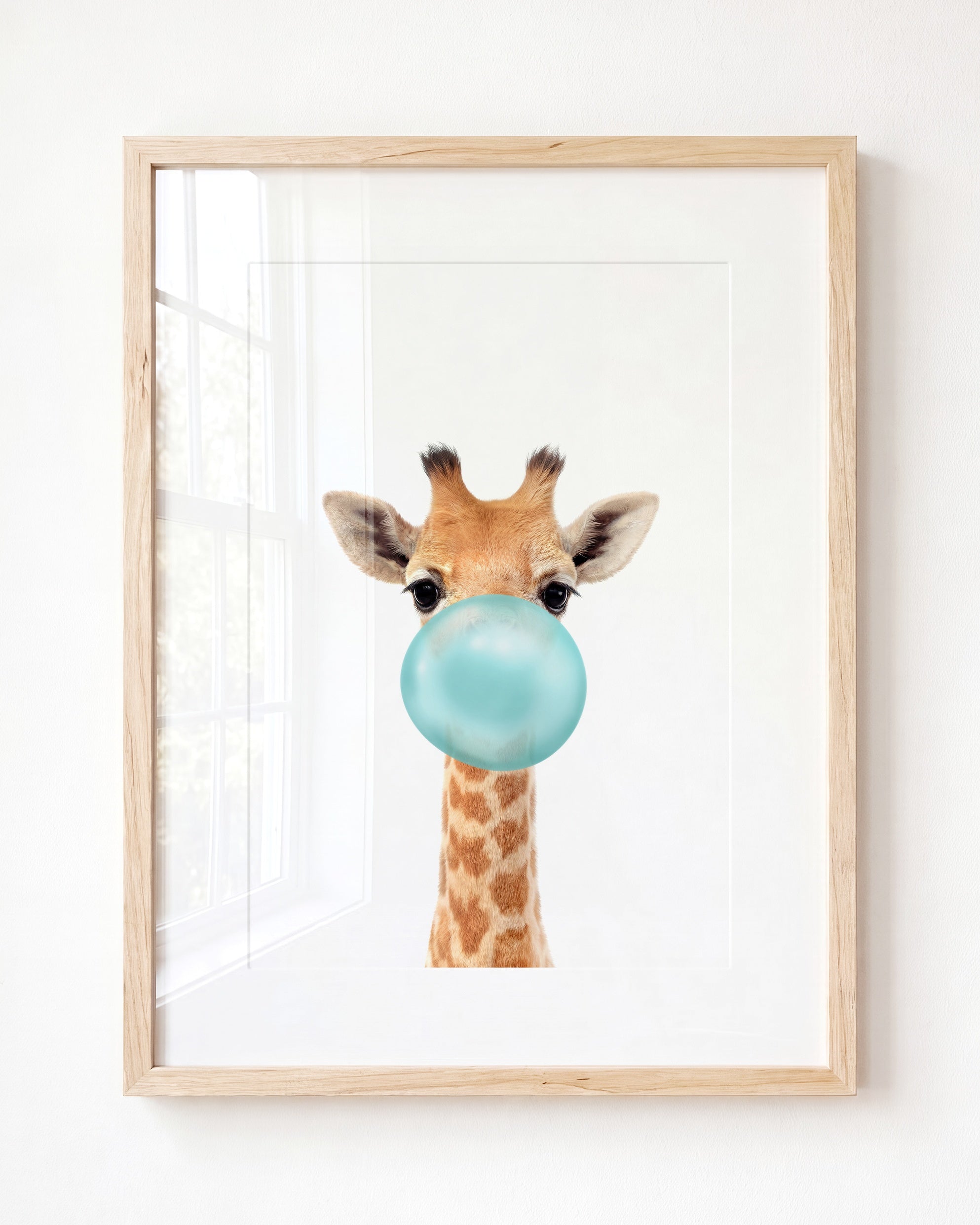 Baby Giraffe