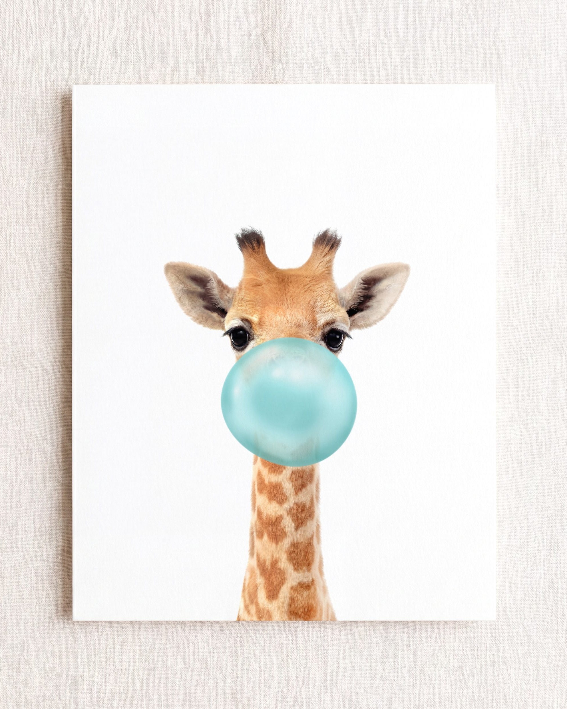 Baby Giraffe