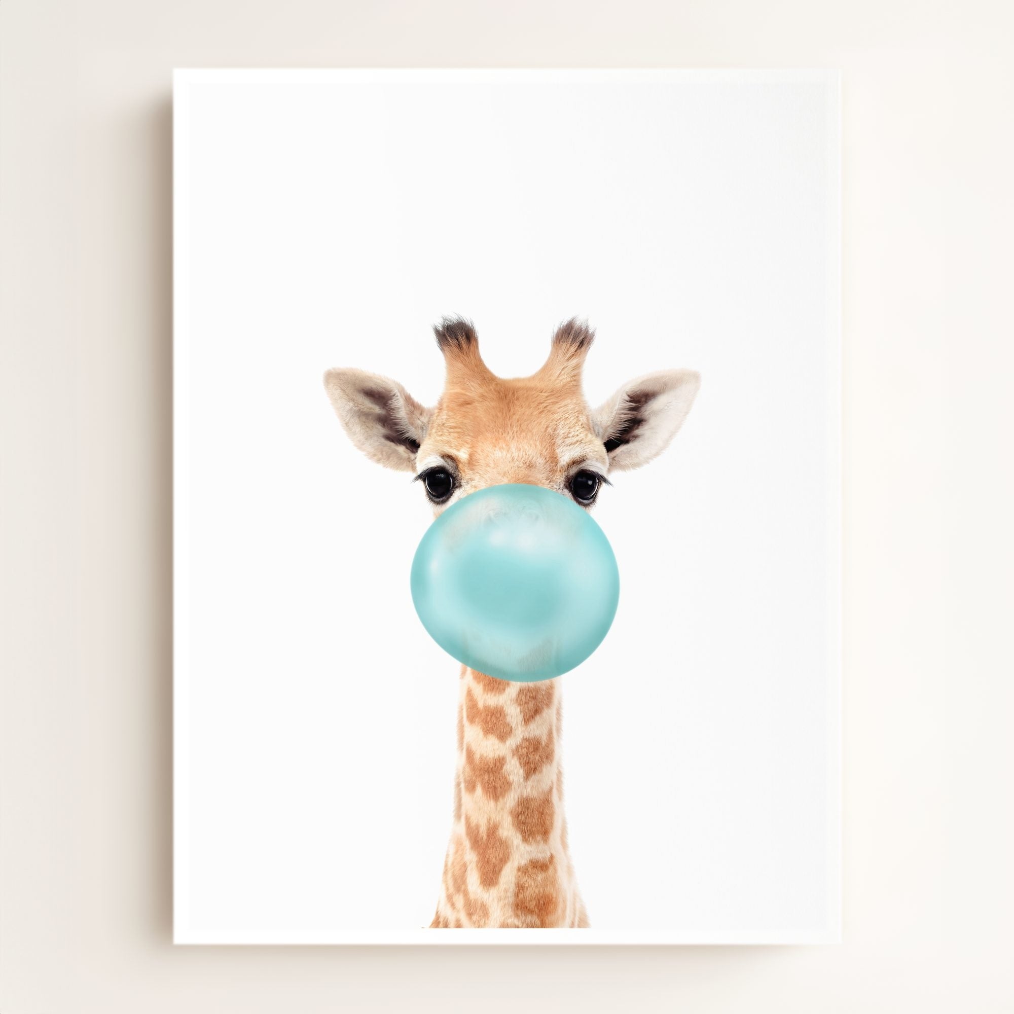 Baby Giraffe