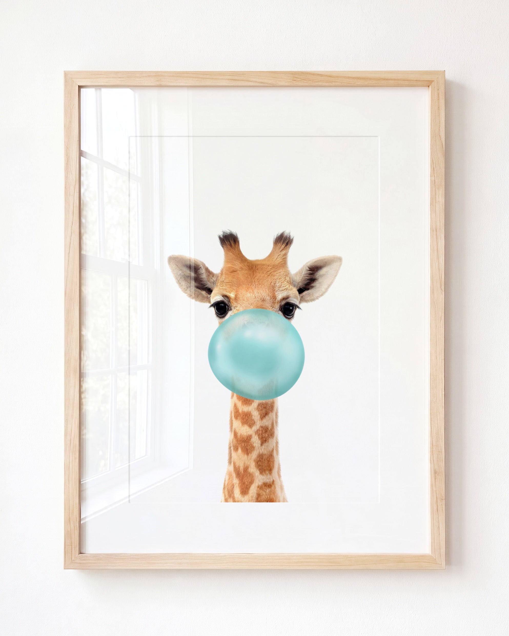 Baby Giraffe