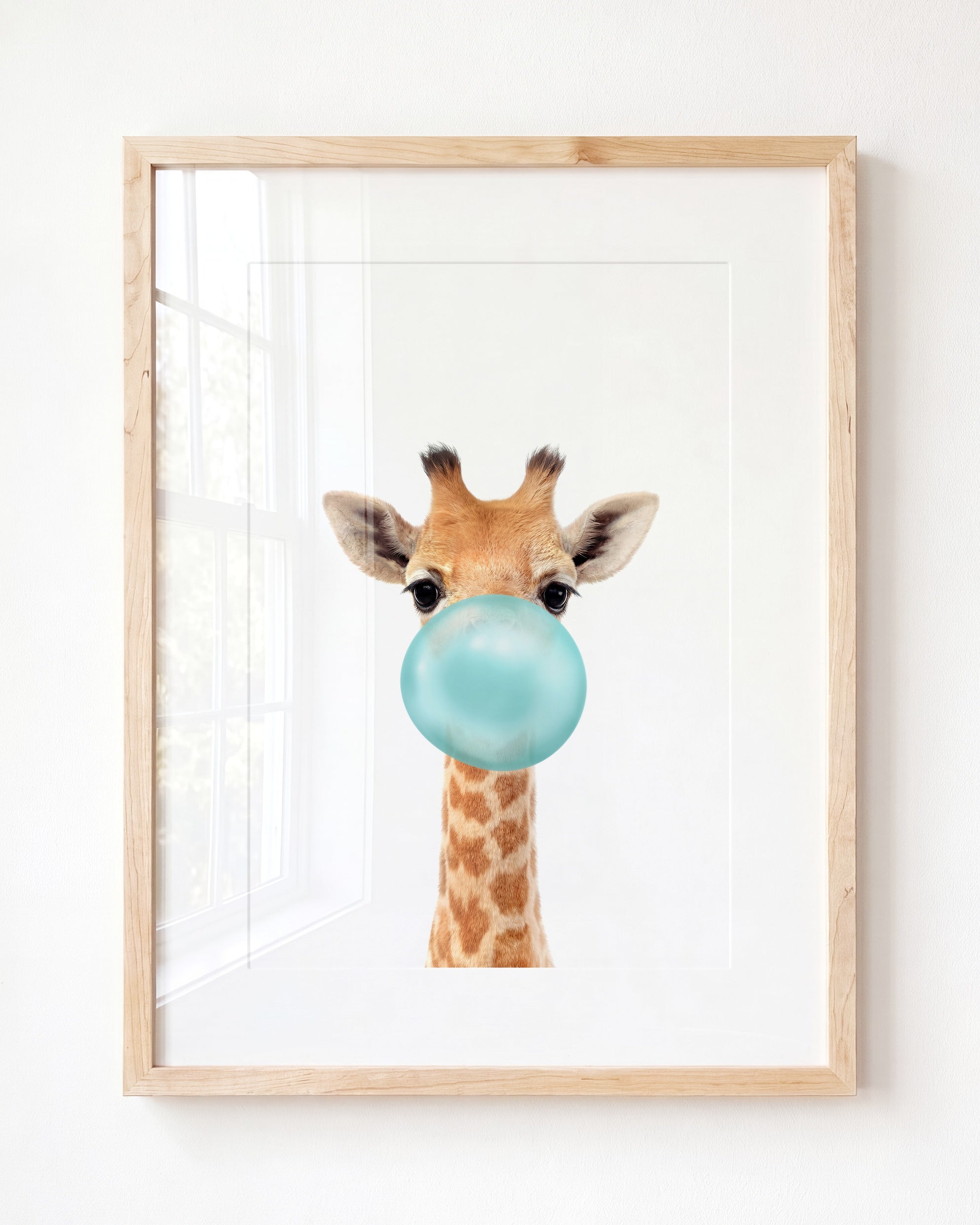 Baby Giraffe