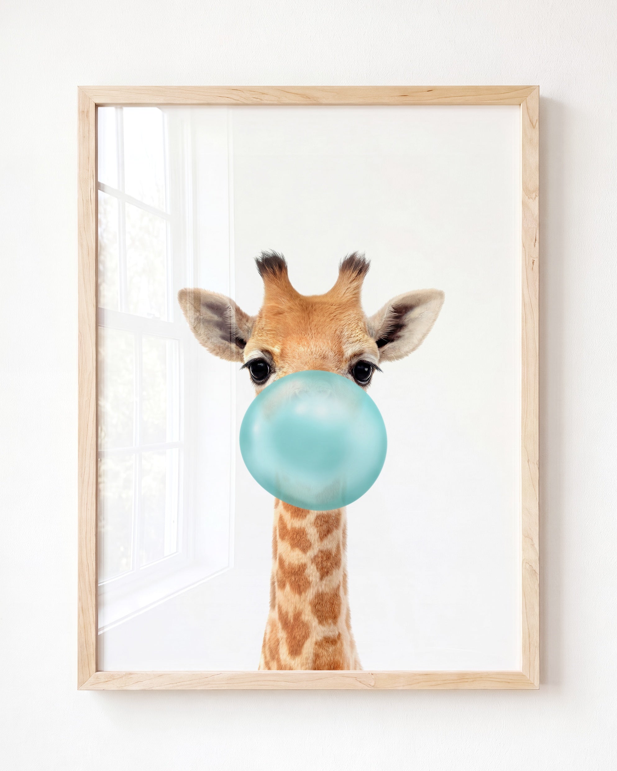 Baby Giraffe