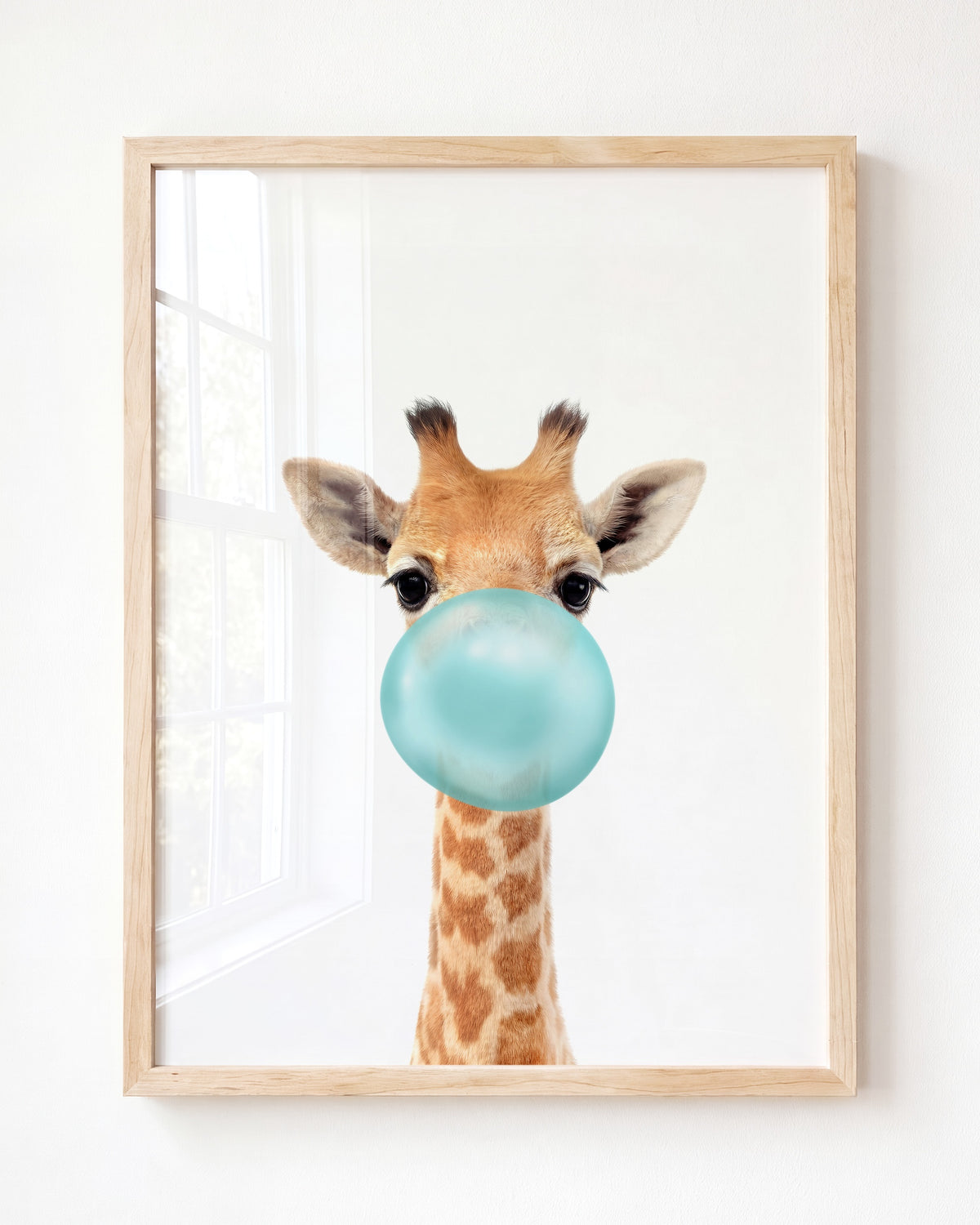 Baby Giraffe