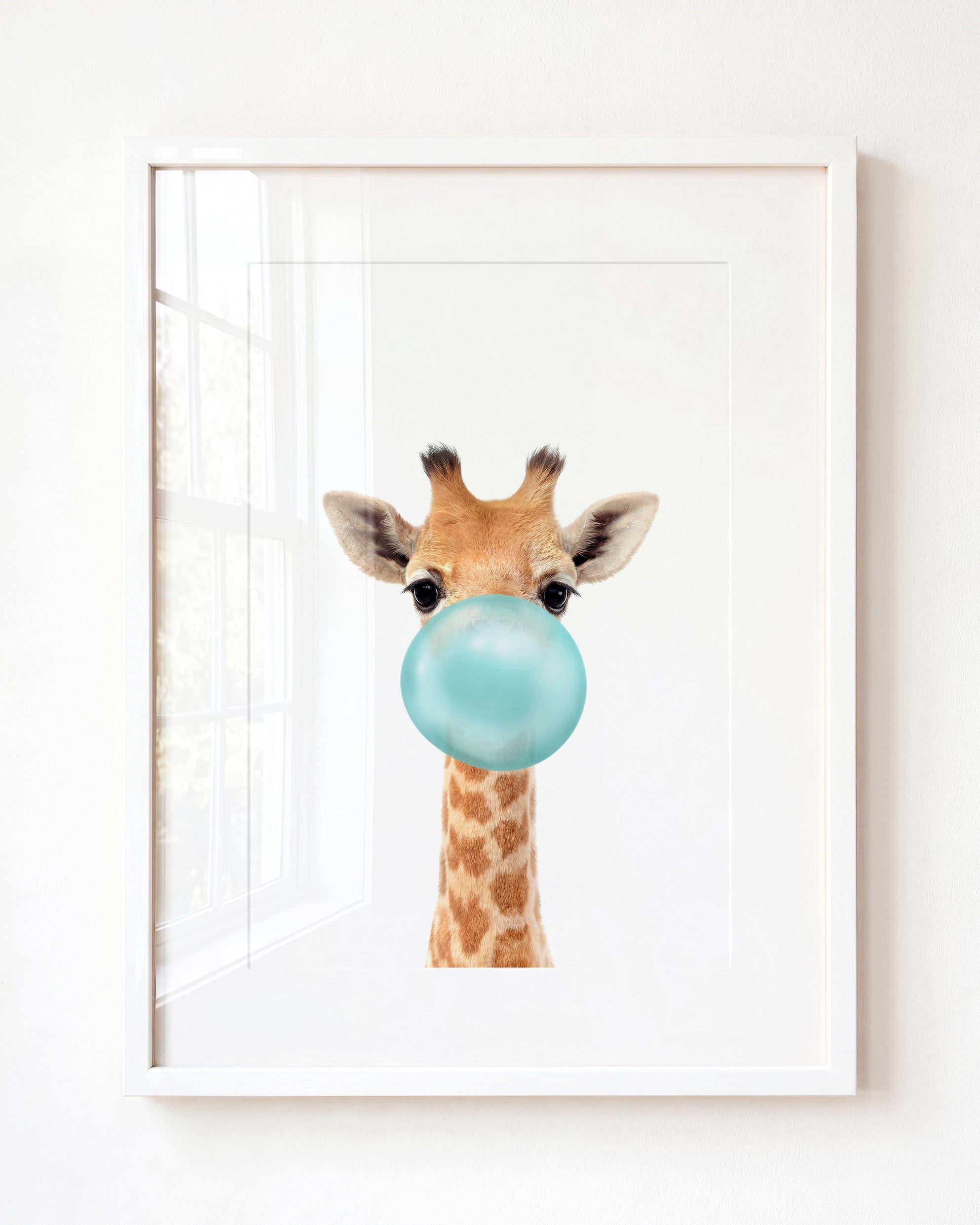 Baby Giraffe
