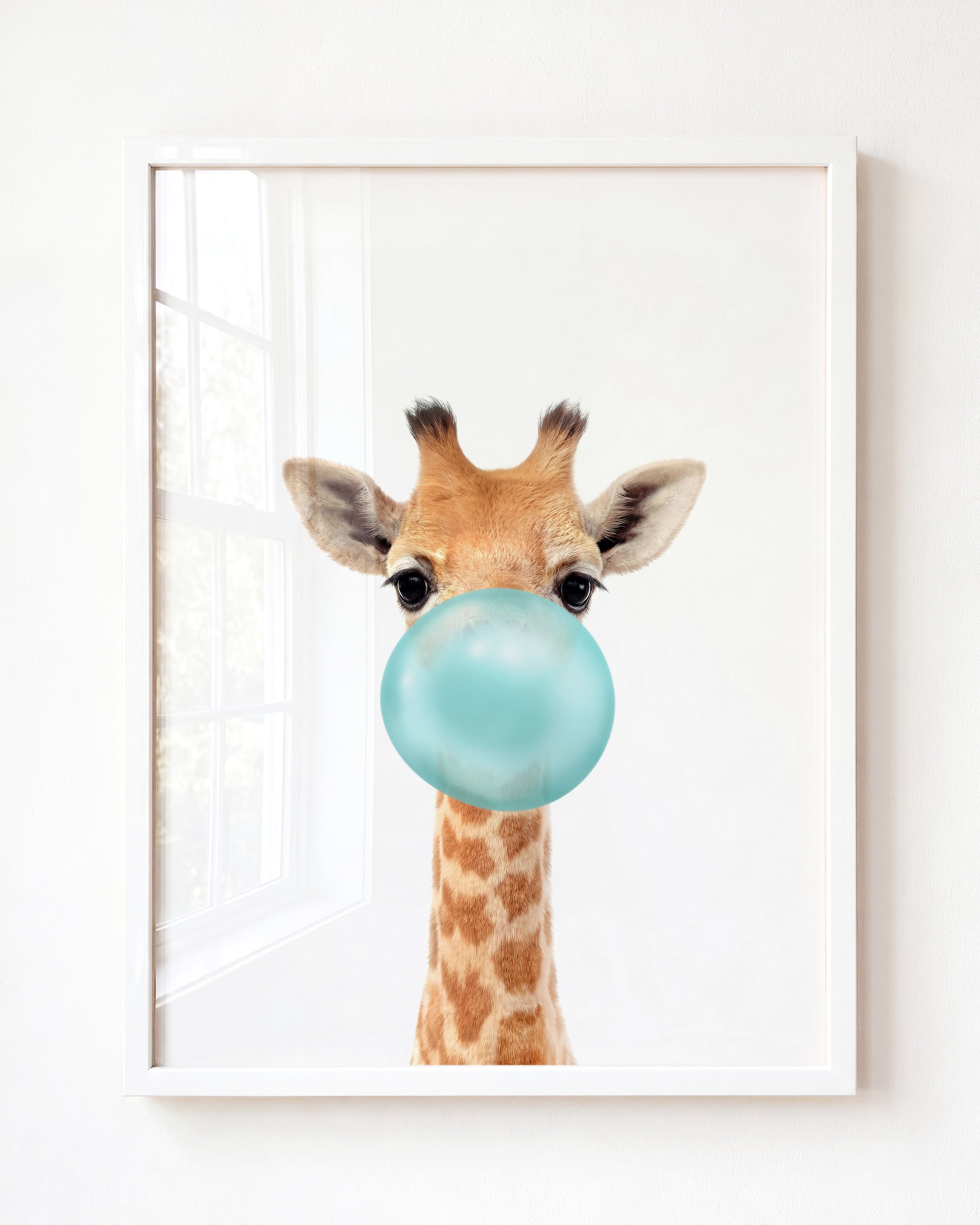 Baby Giraffe