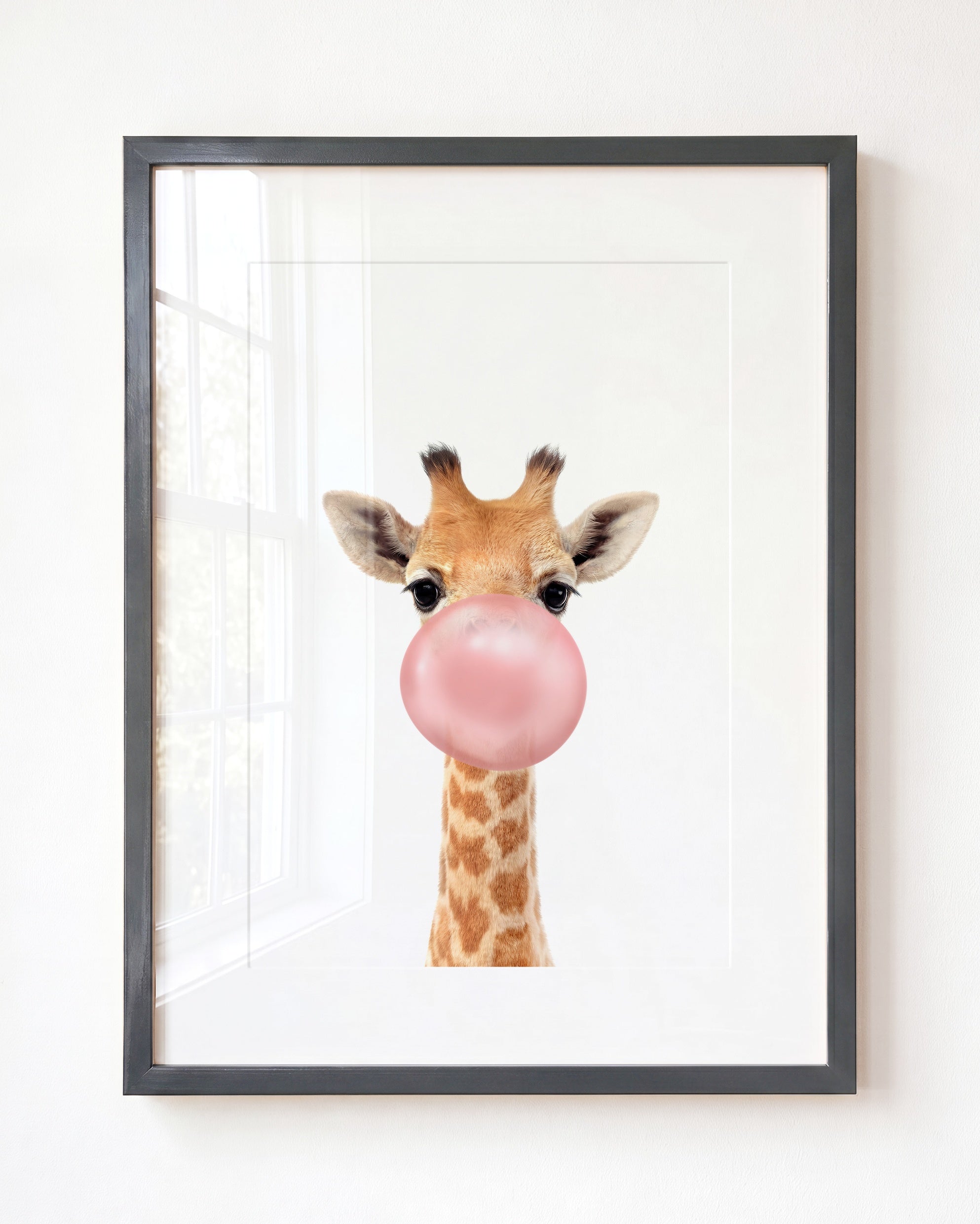 Baby Giraffe