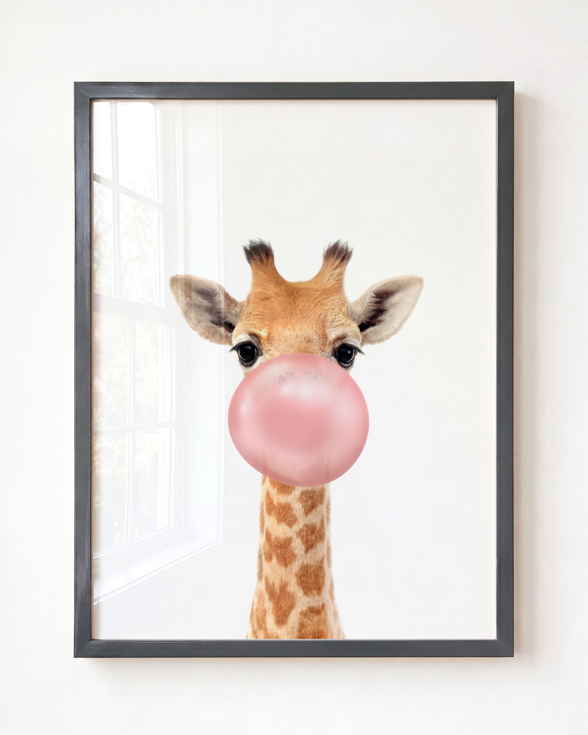 Baby Giraffe