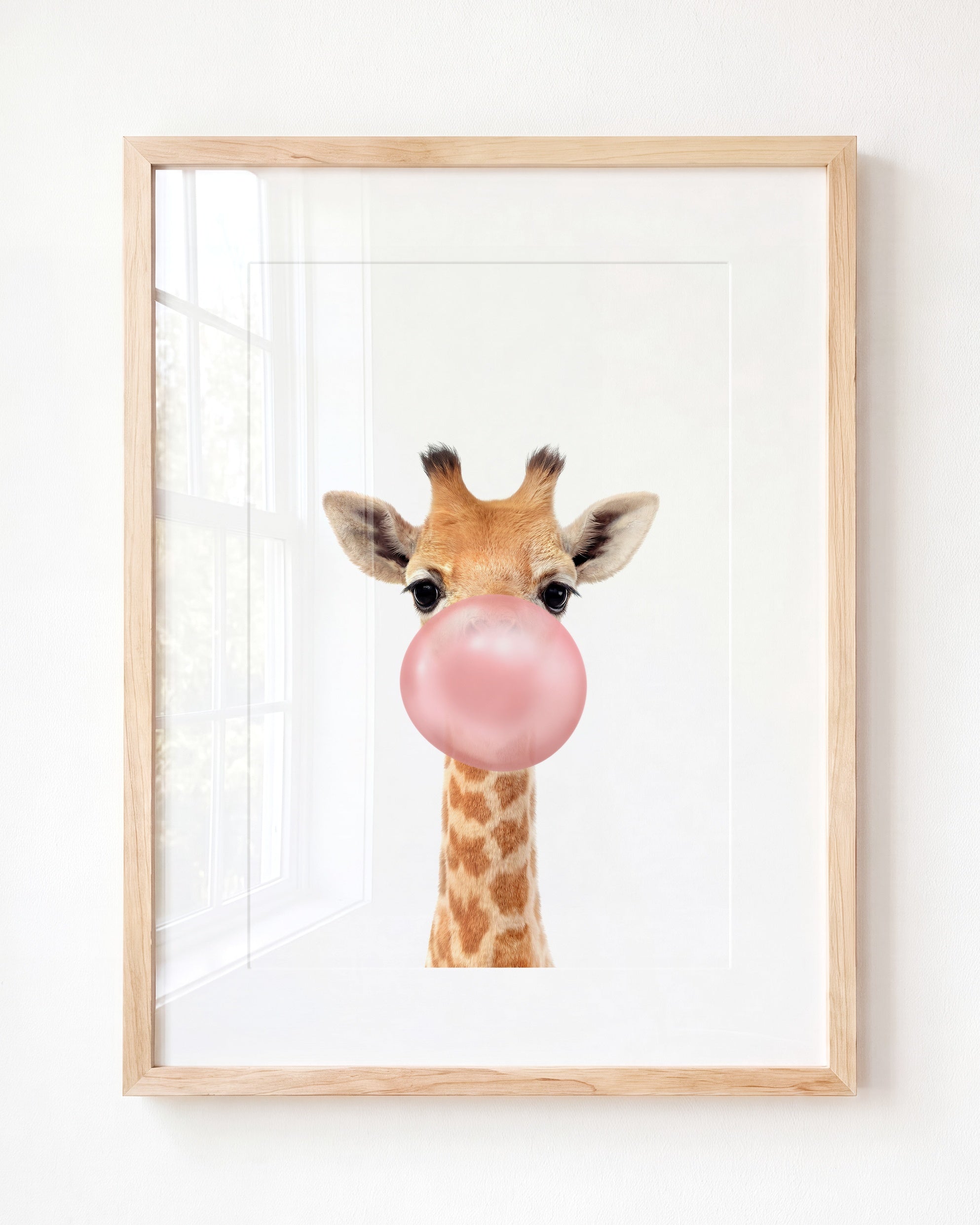Baby Giraffe