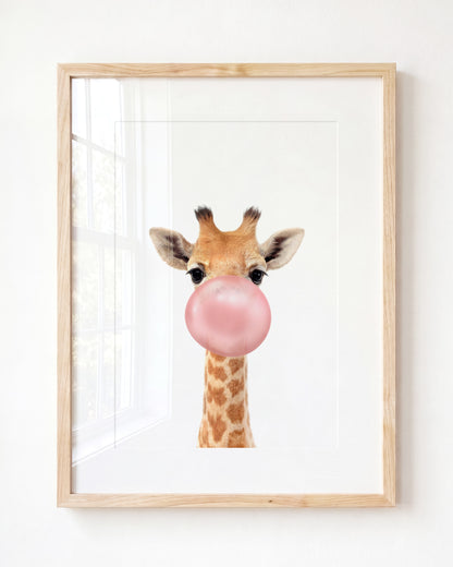 Baby Giraffe