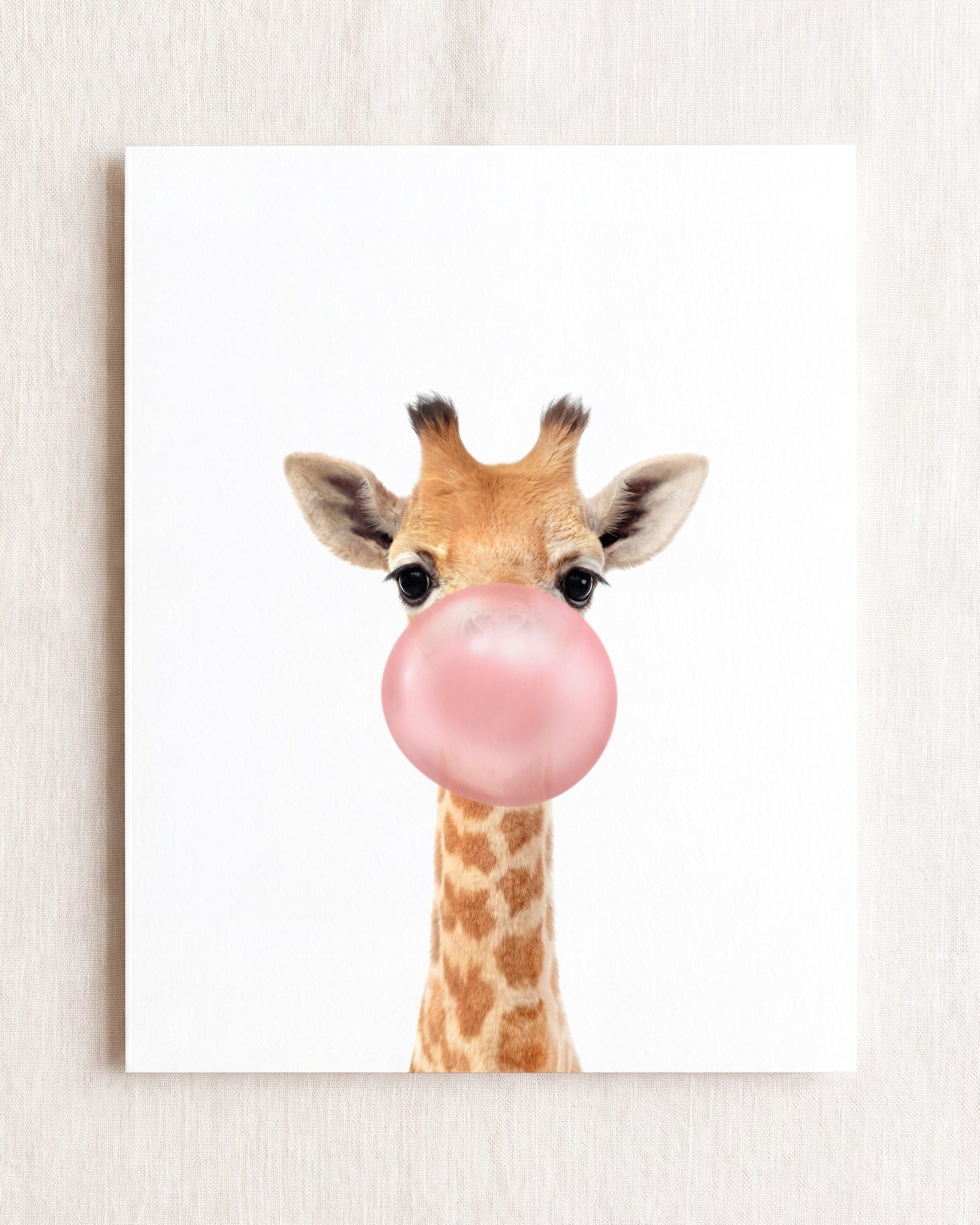 Baby Giraffe