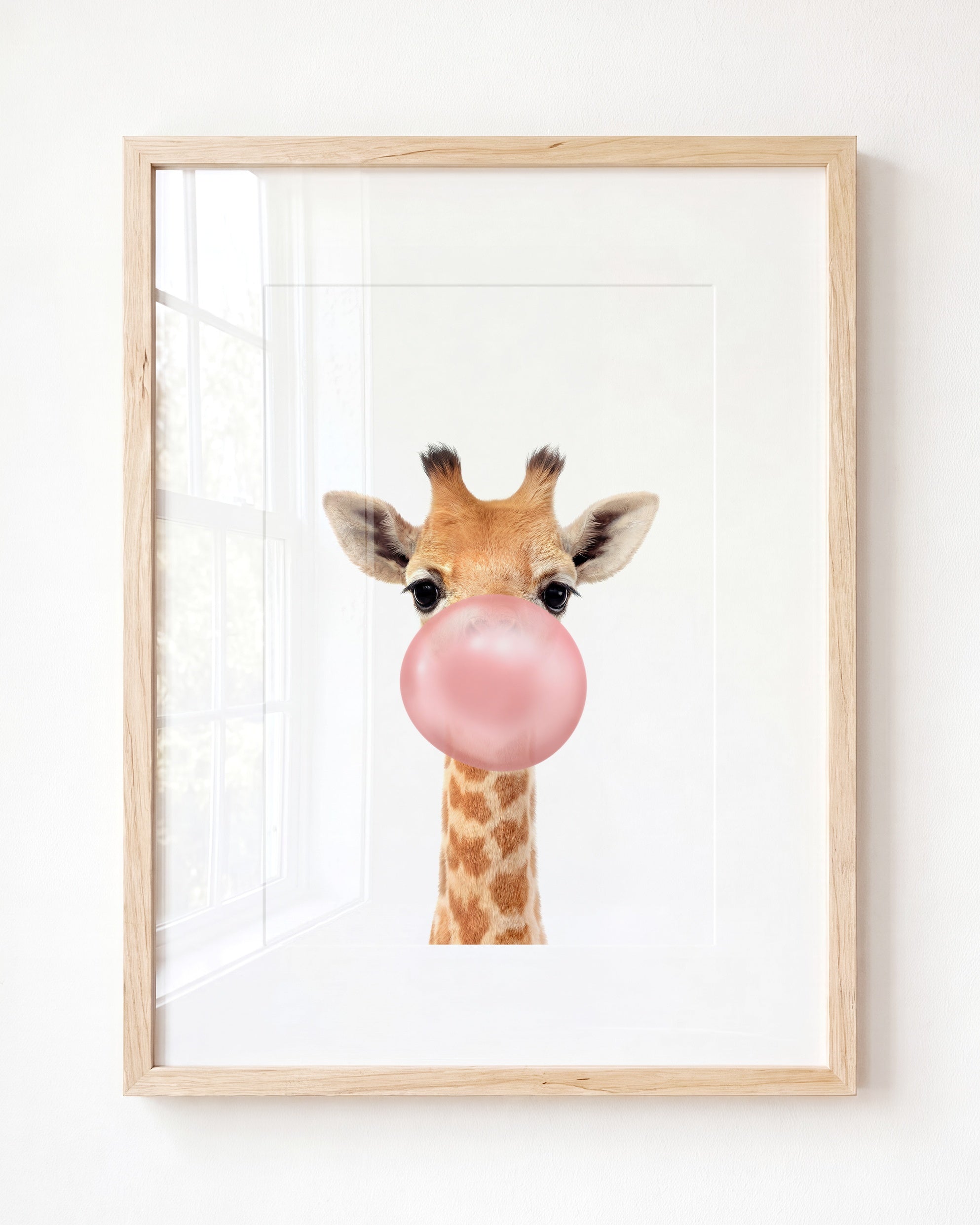 Baby Giraffe