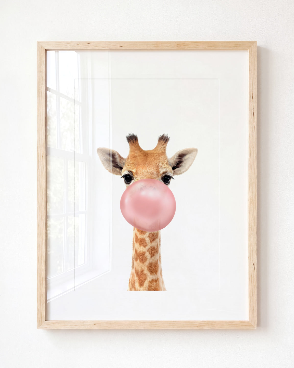 Baby Giraffe