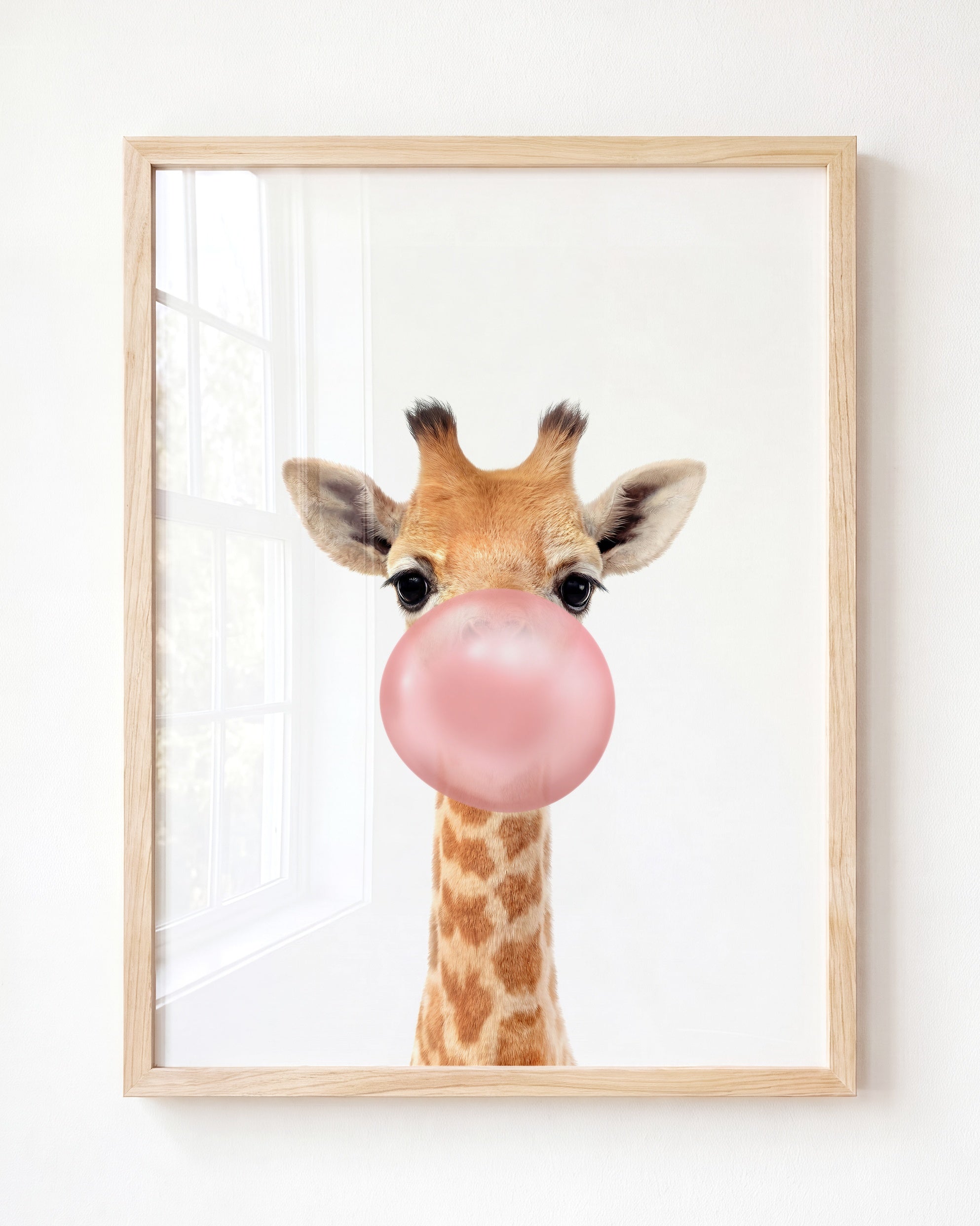 Baby Giraffe