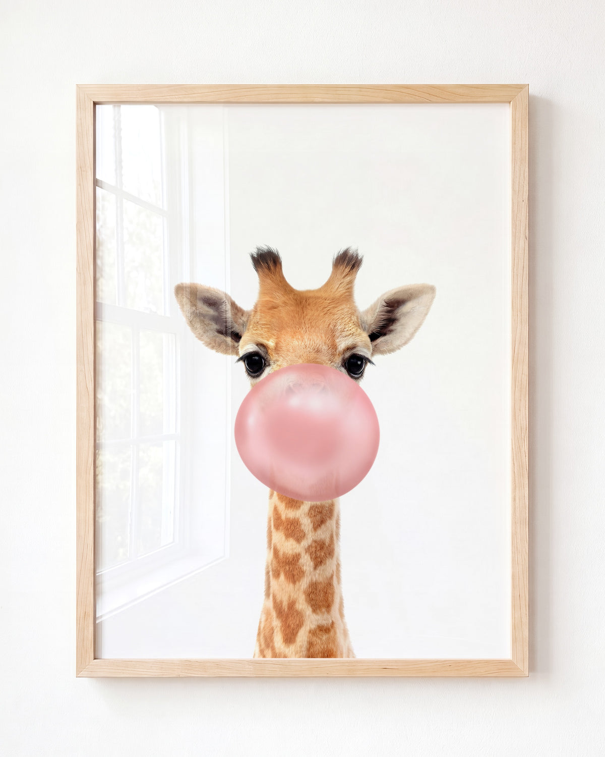 Baby Giraffe