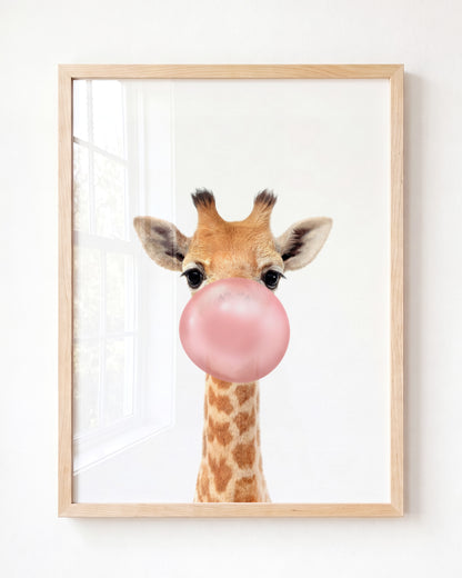 Baby Giraffe