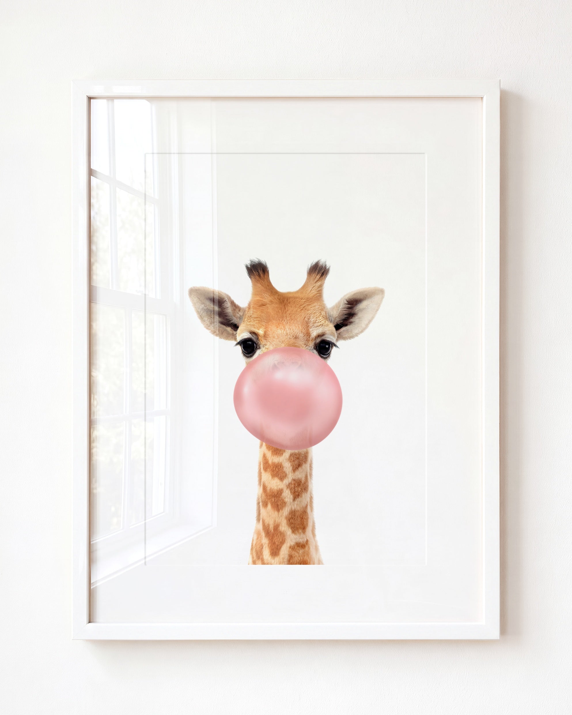Baby Giraffe
