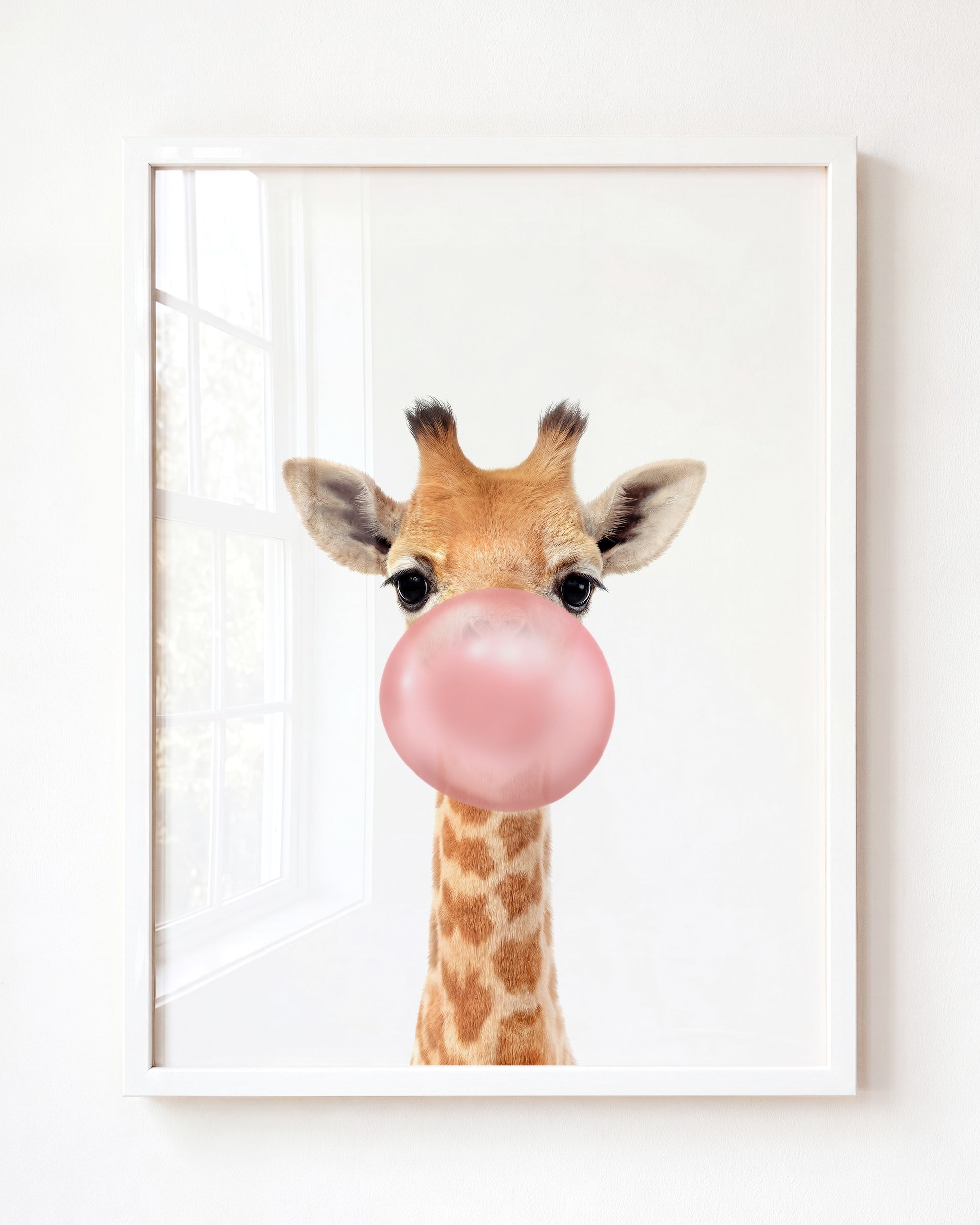 Baby Giraffe