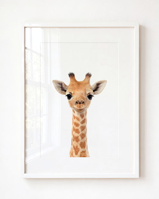 Baby Giraffe — Framed Art