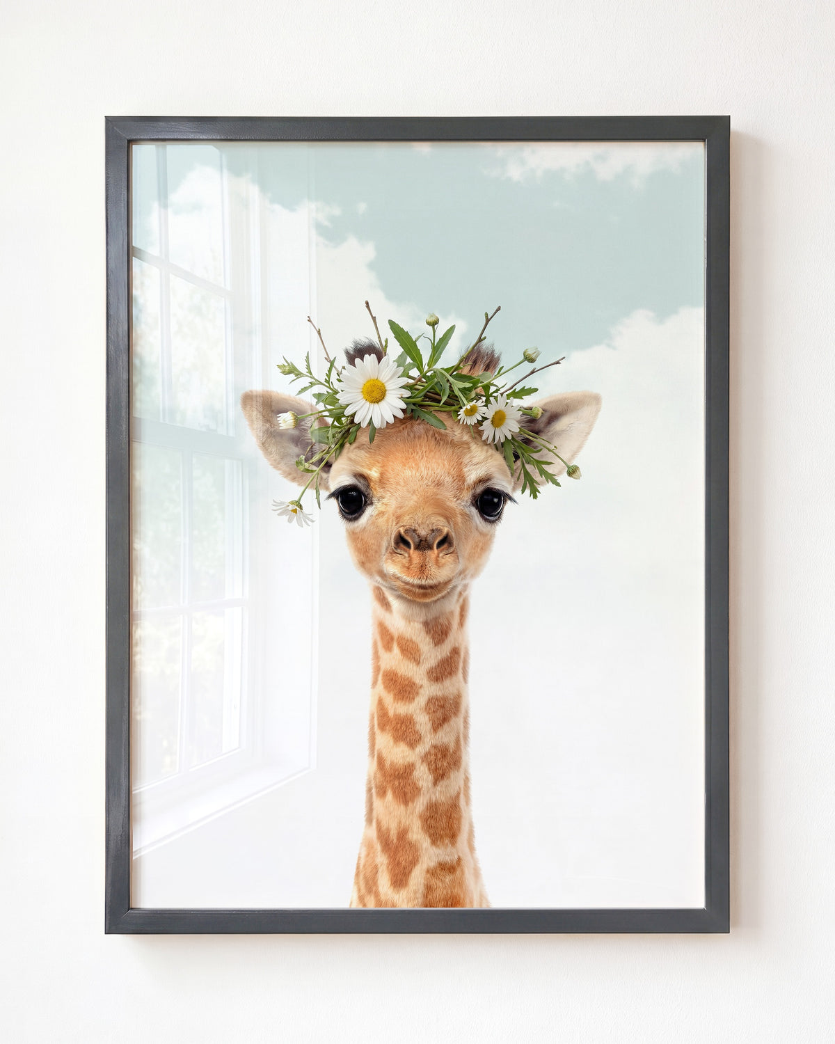 Baby Giraffe
