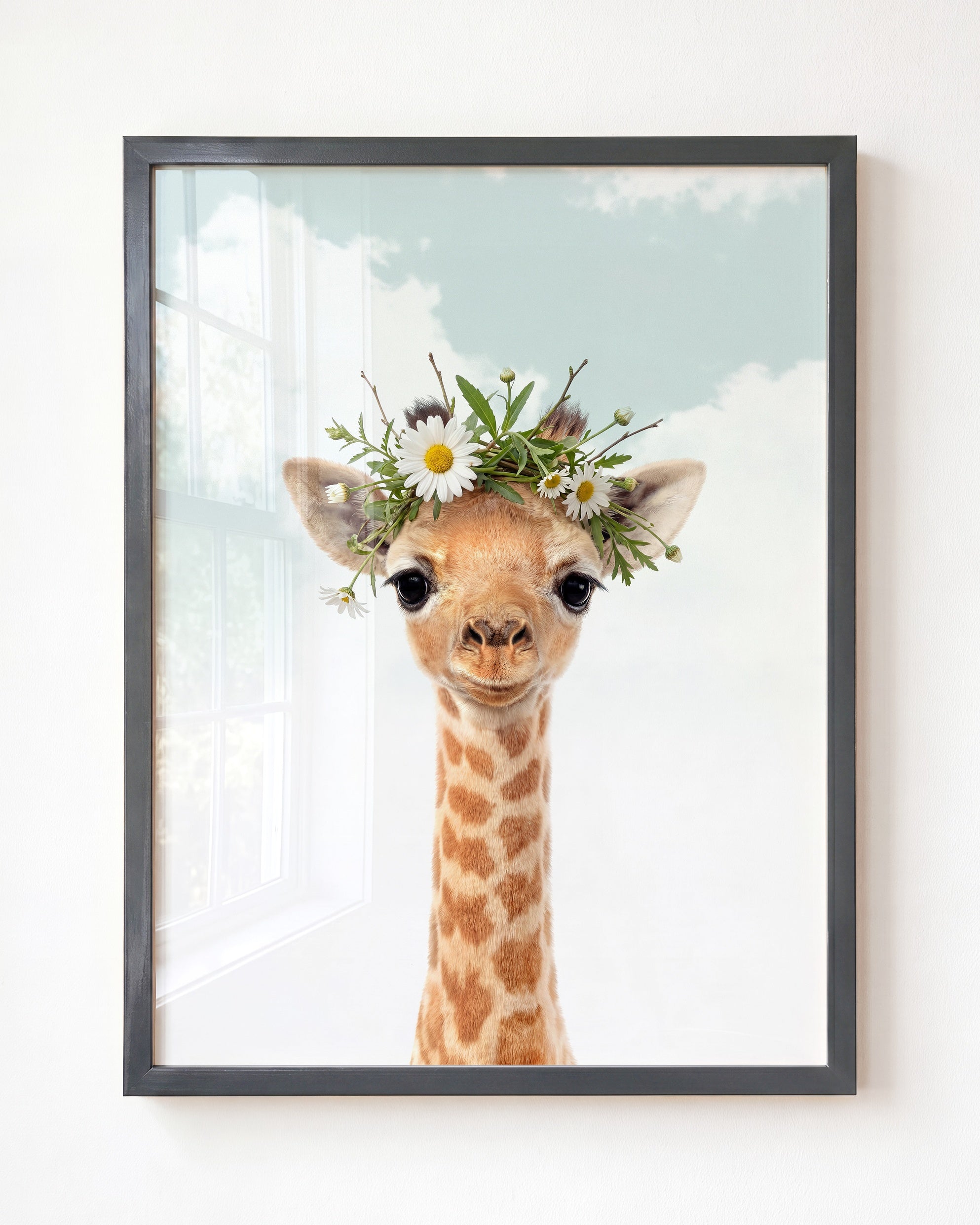 Baby Giraffe