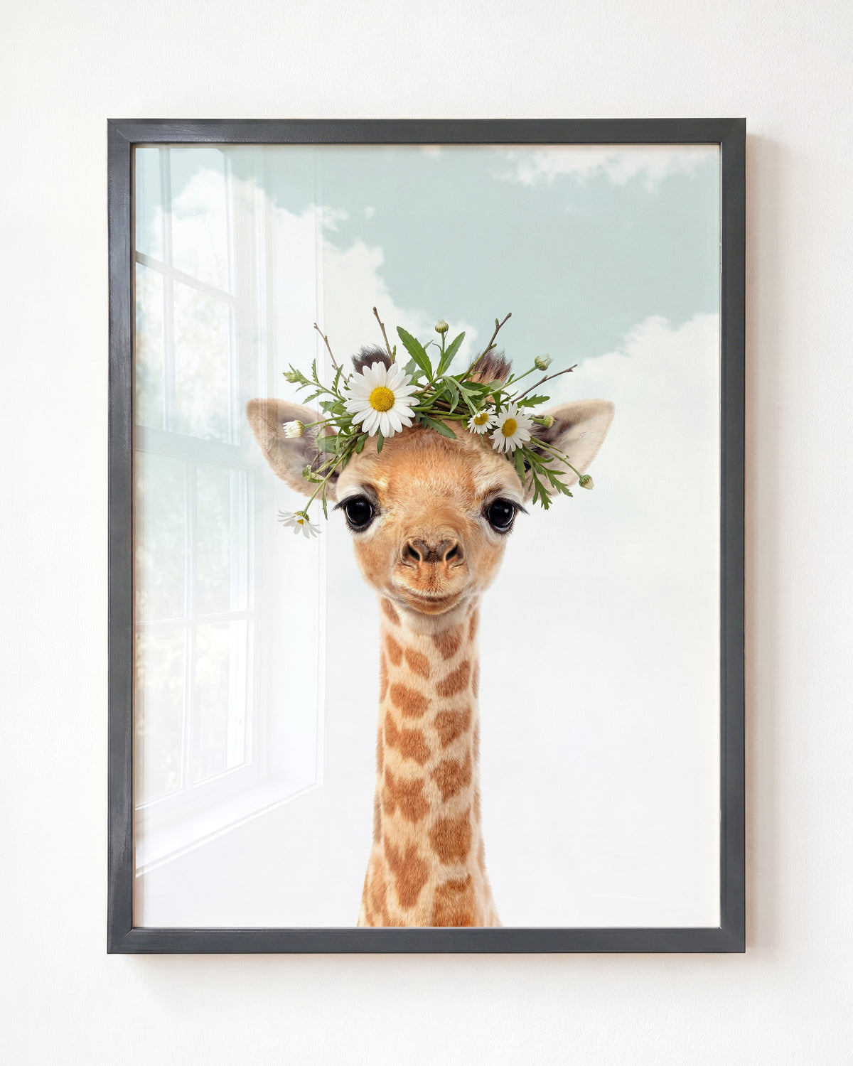 Baby Giraffe