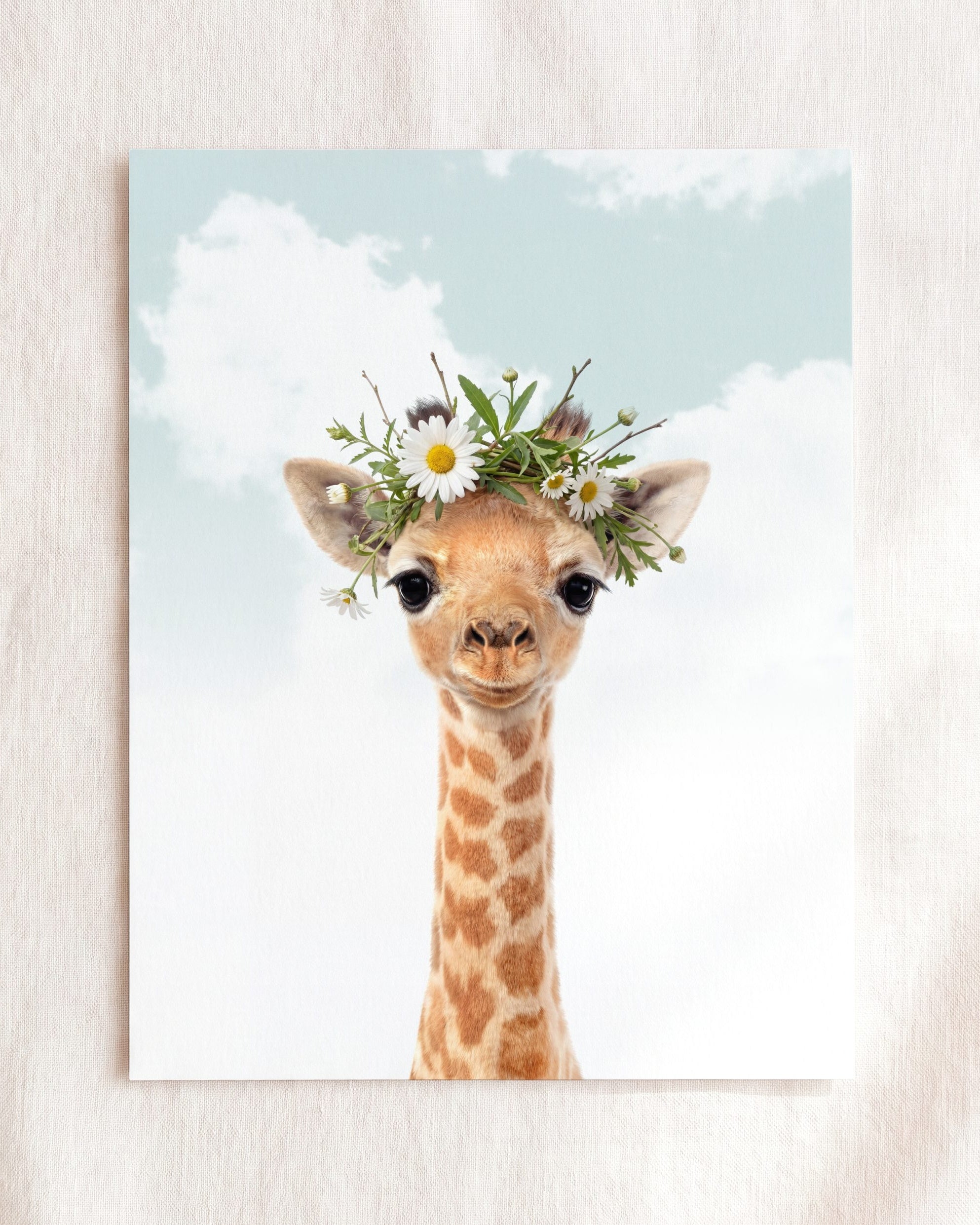 Baby Giraffe
