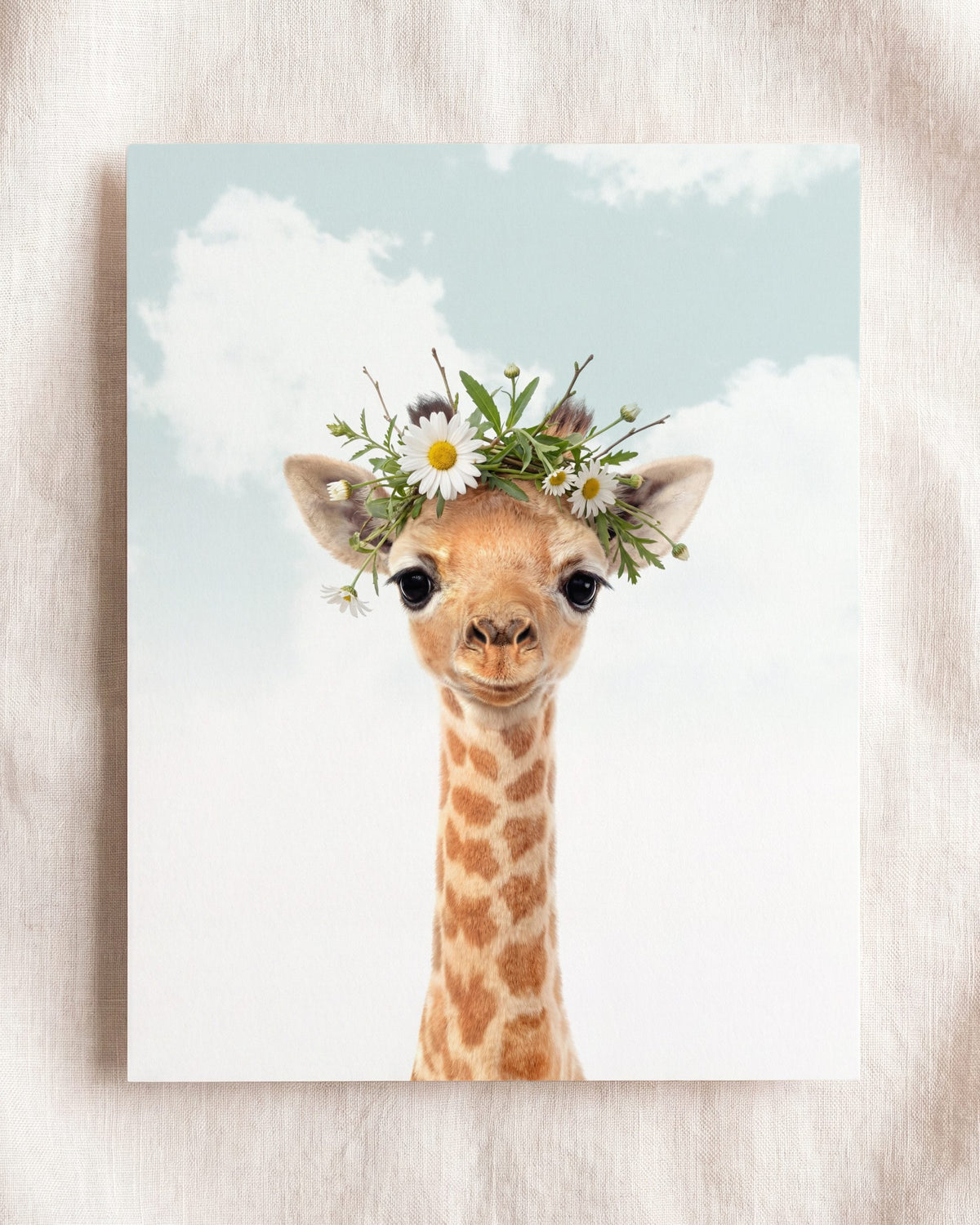 Baby Giraffe