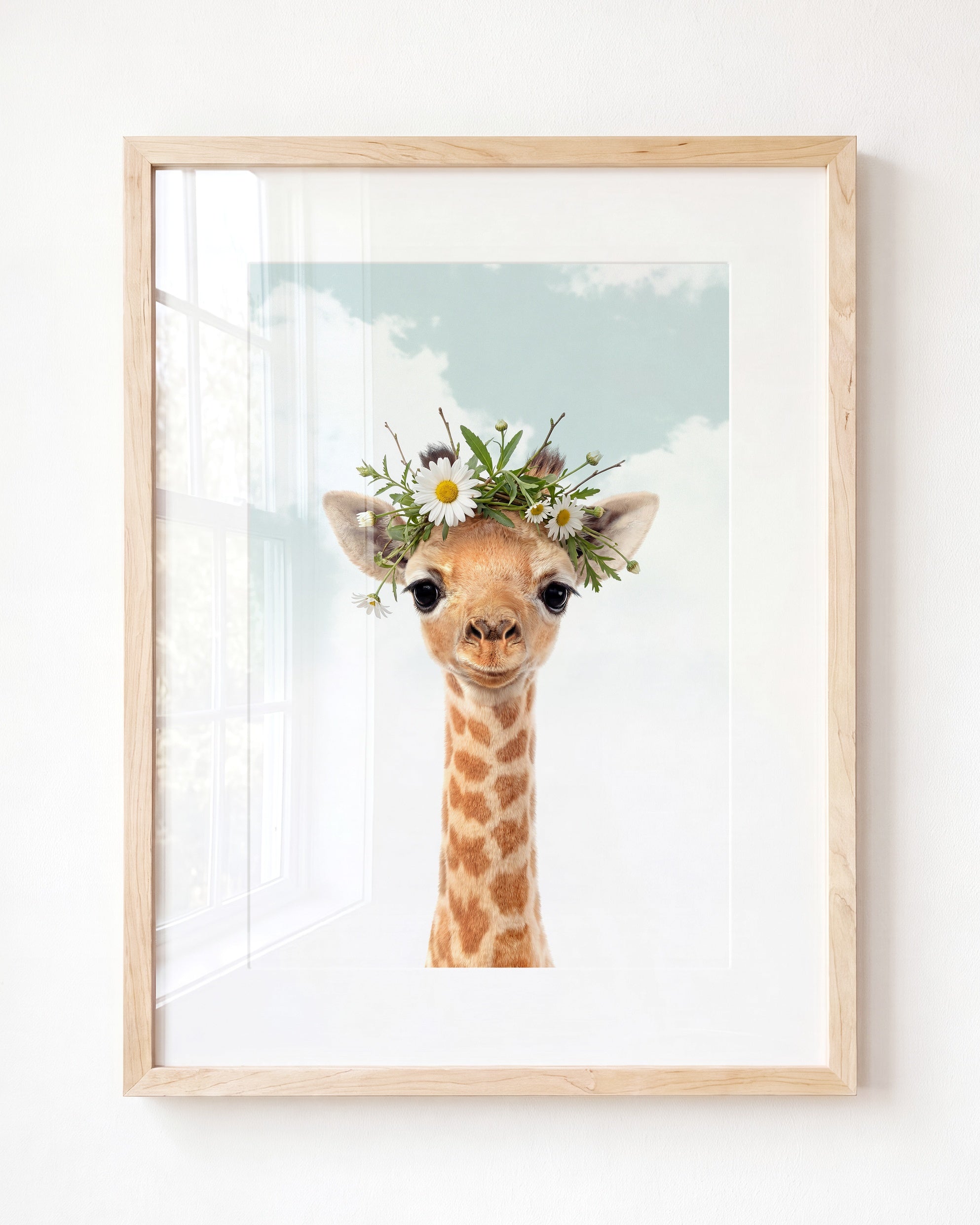 Baby Giraffe