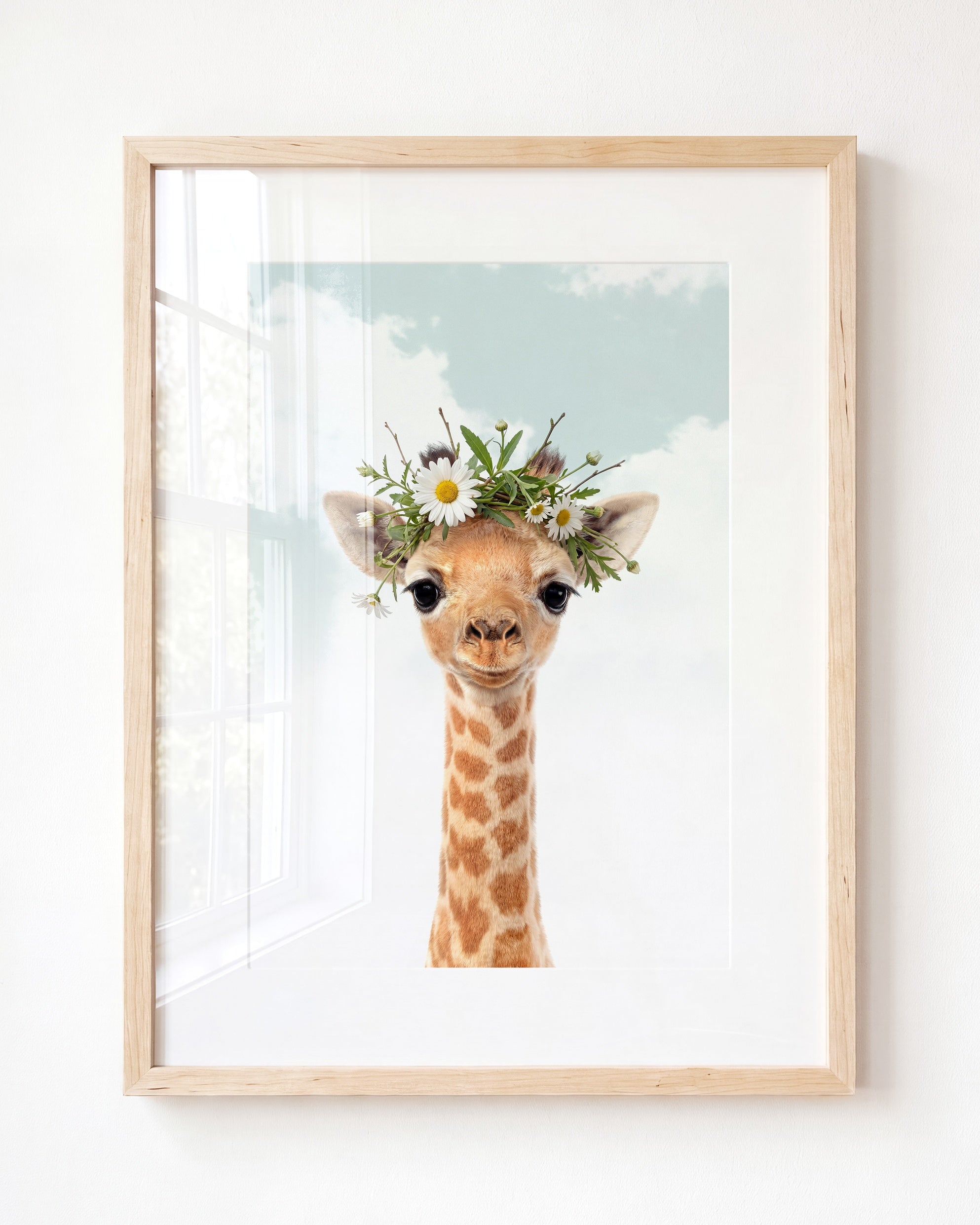 Baby Giraffe