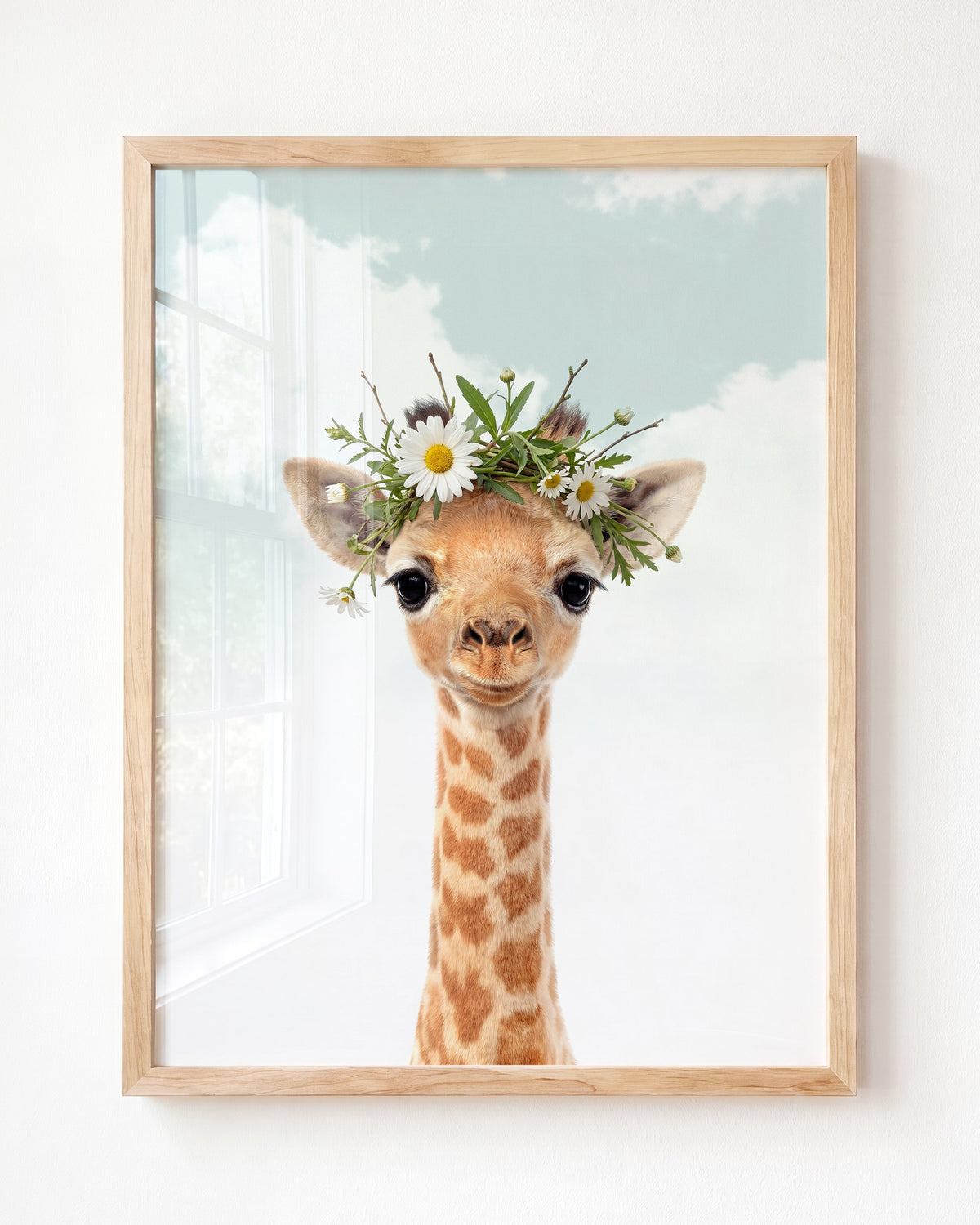 Baby Giraffe