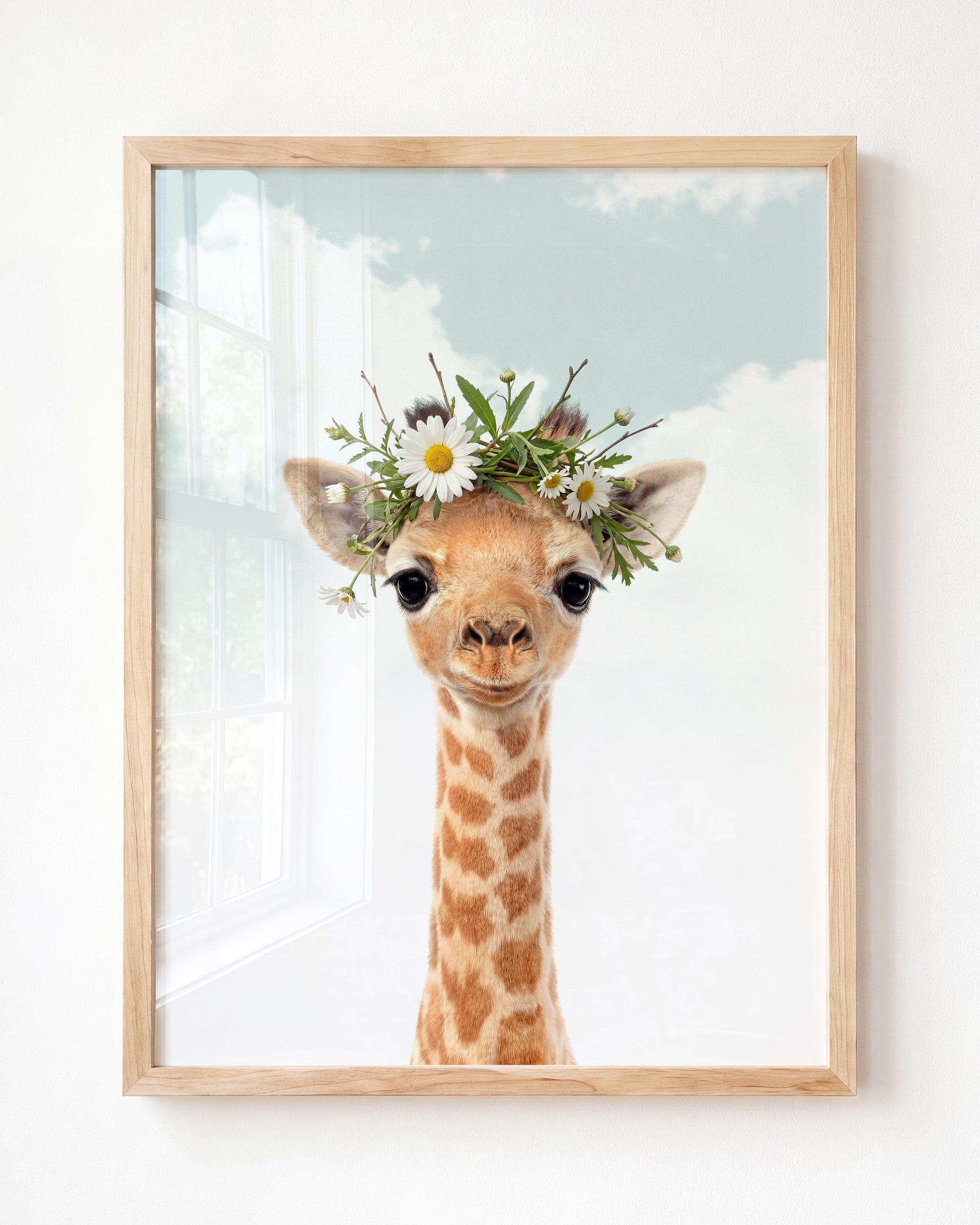 Baby Giraffe
