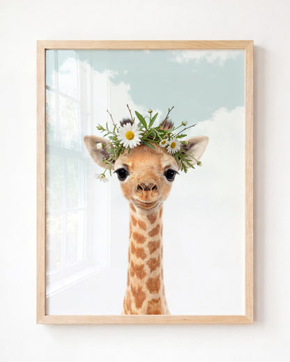 Baby Giraffe