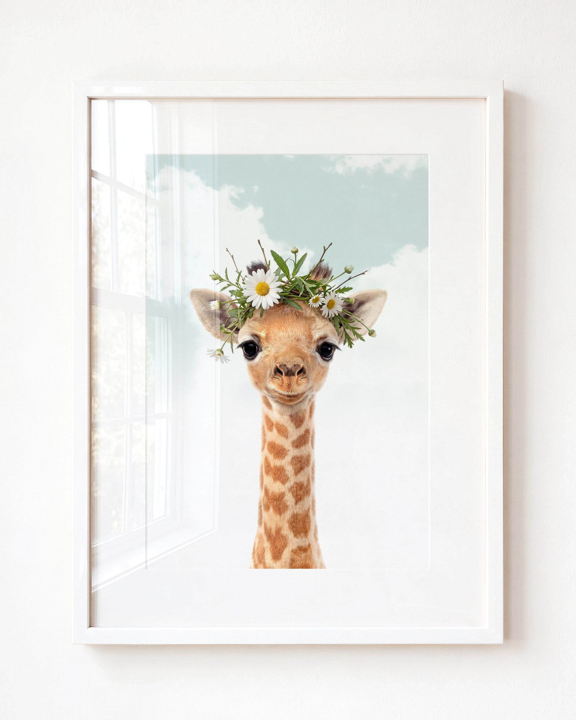Baby Giraffe