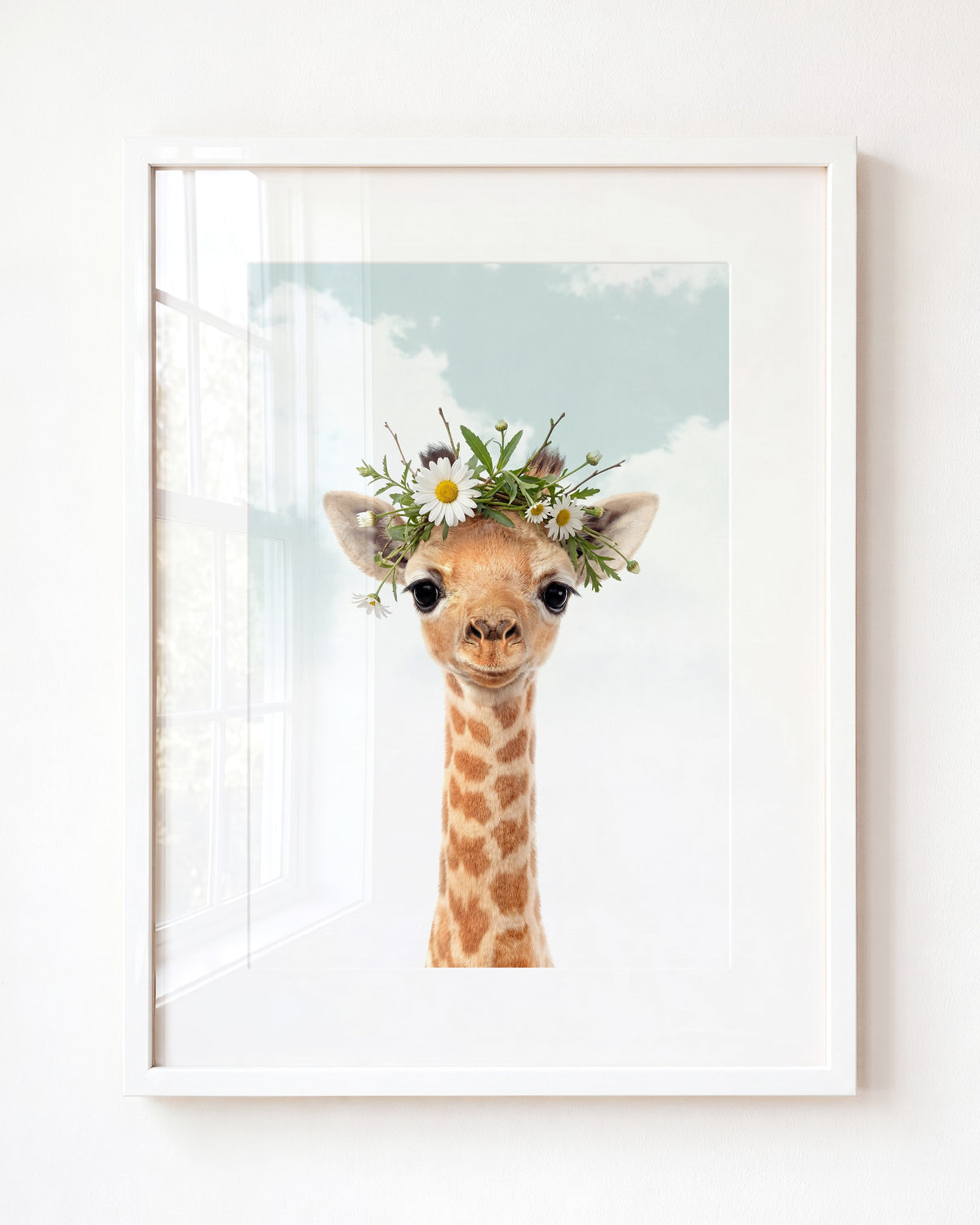 Baby Giraffe