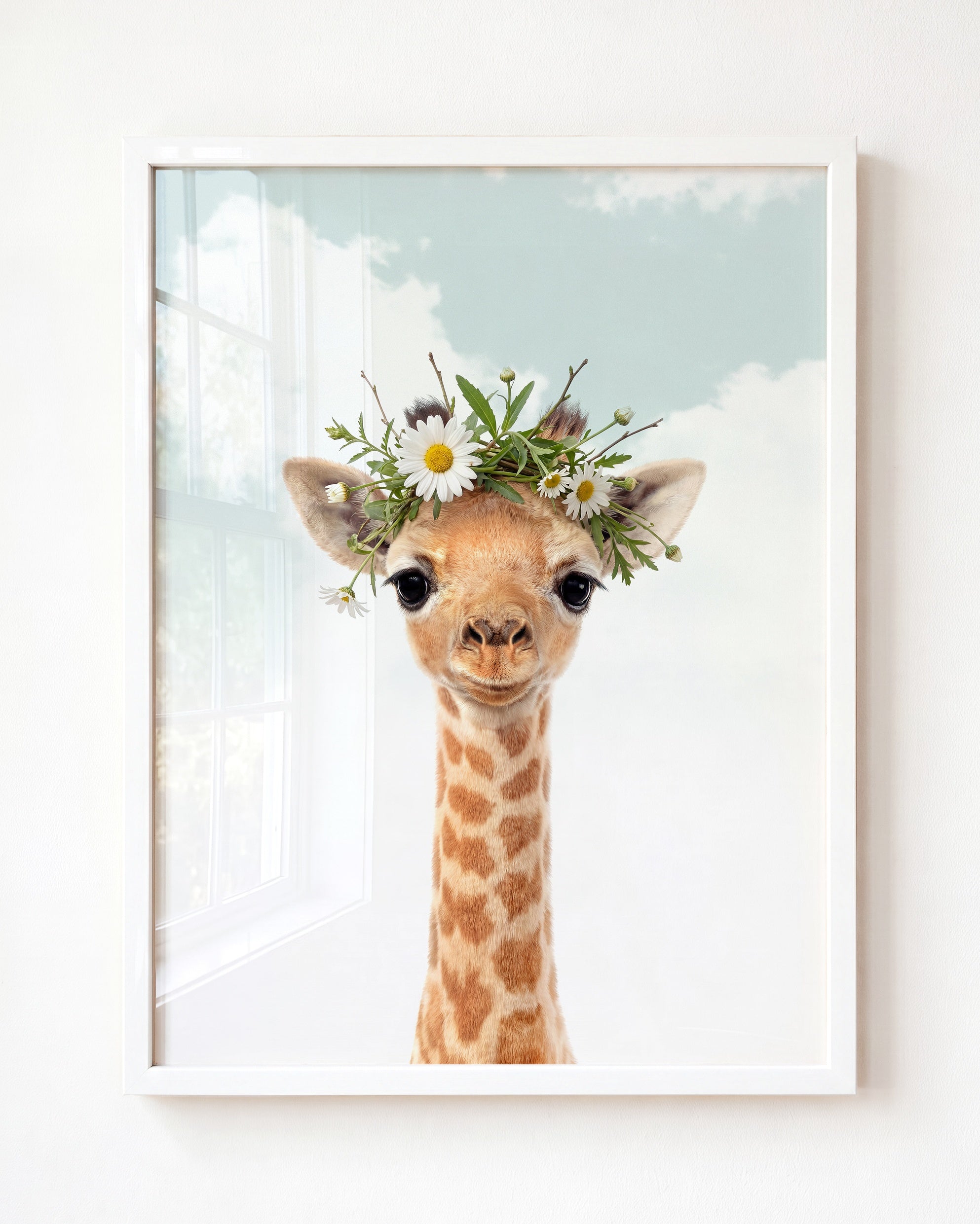 Baby Giraffe
