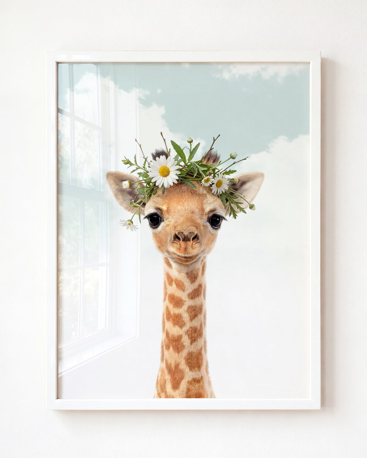 Baby Giraffe