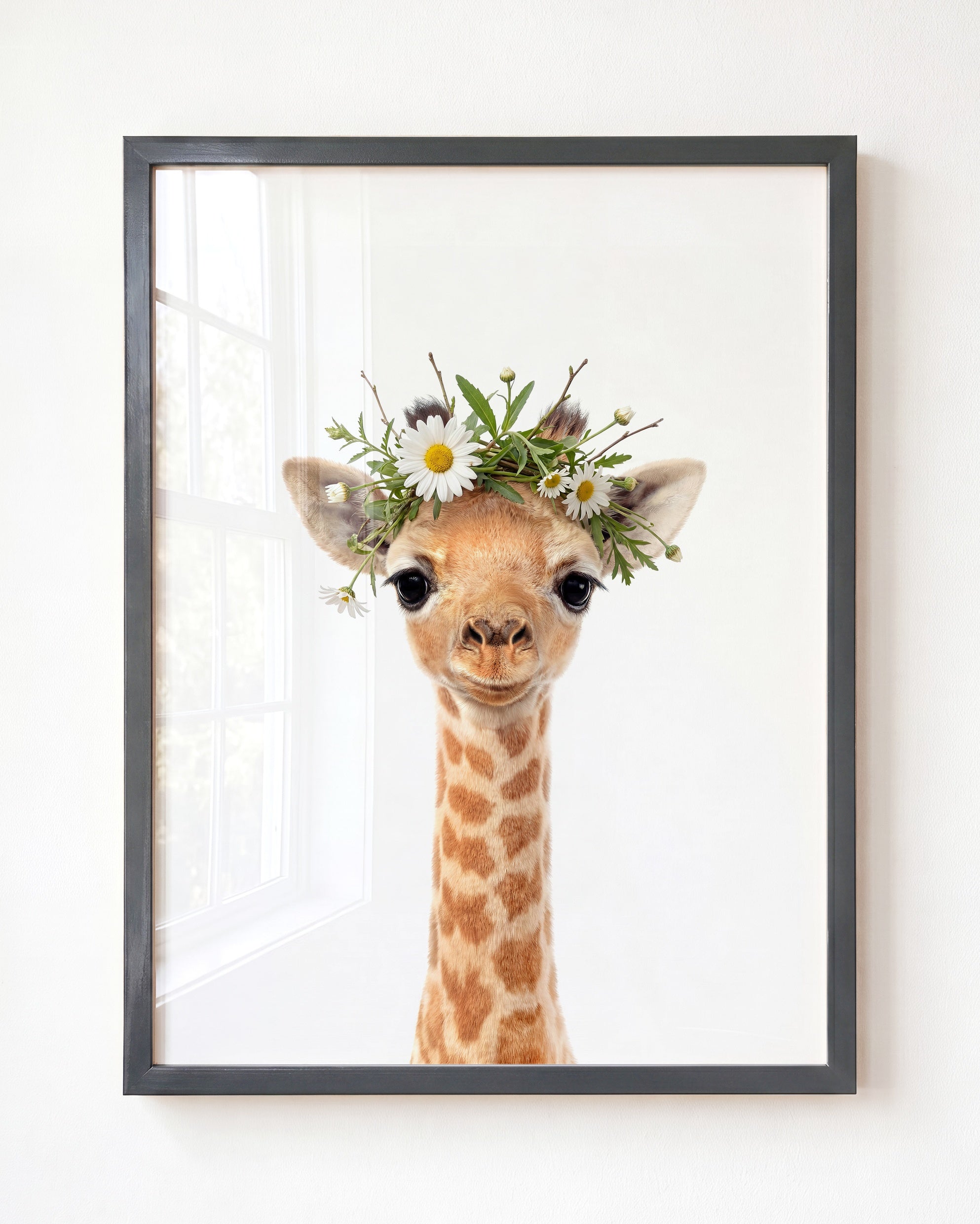 Baby Giraffe