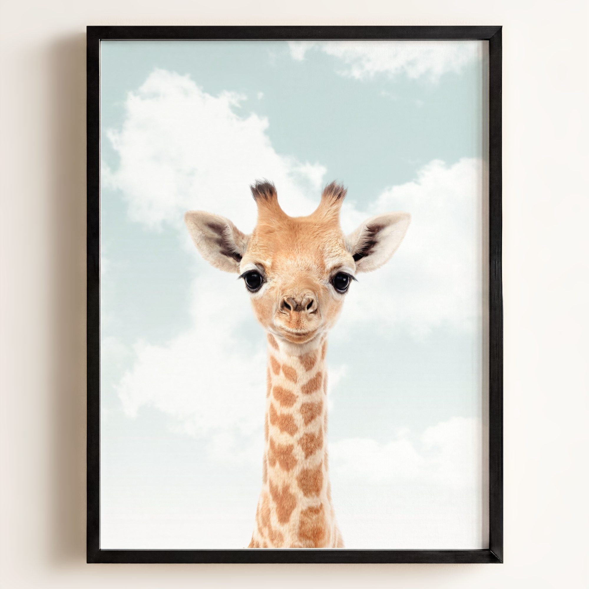 Baby Giraffe