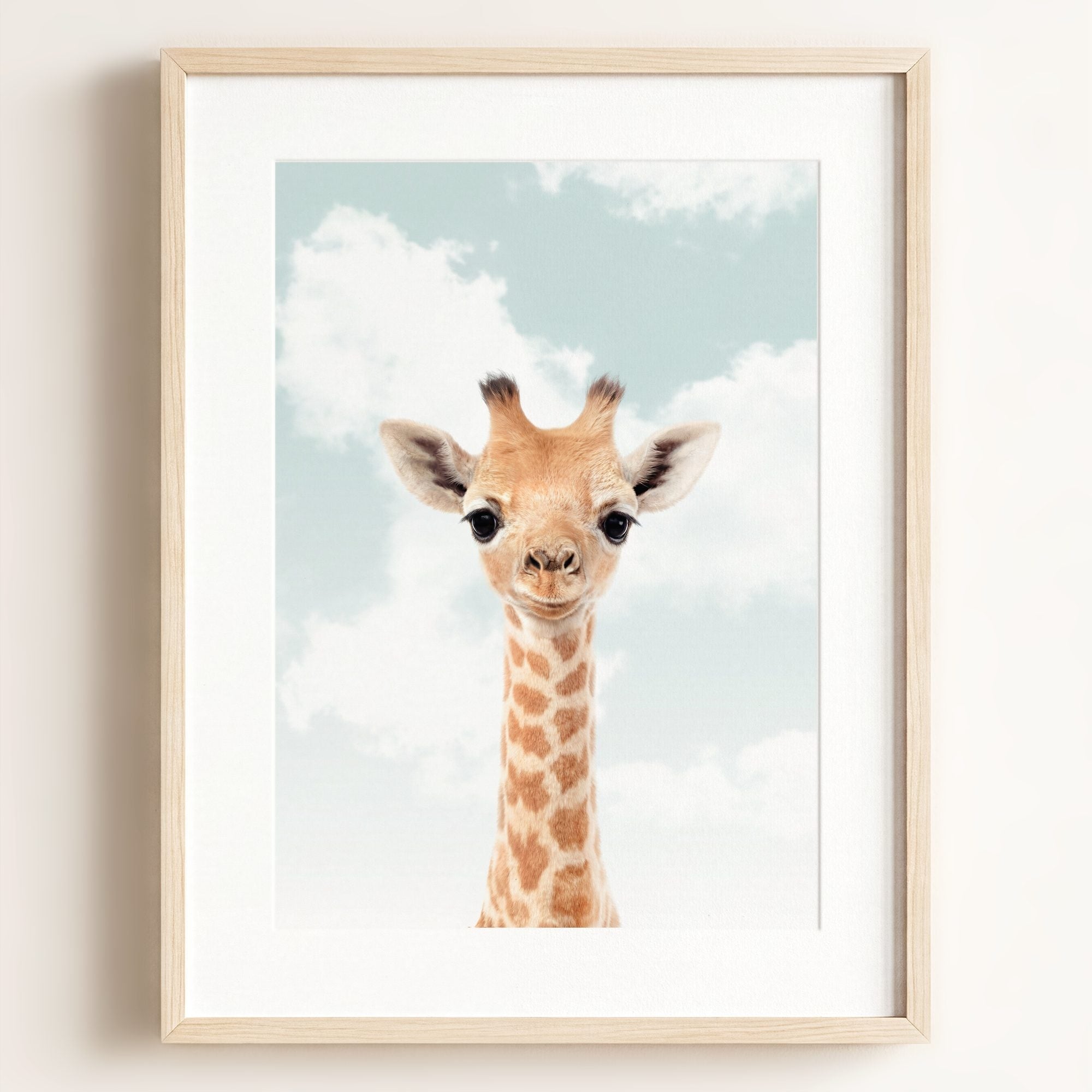 Baby Giraffe