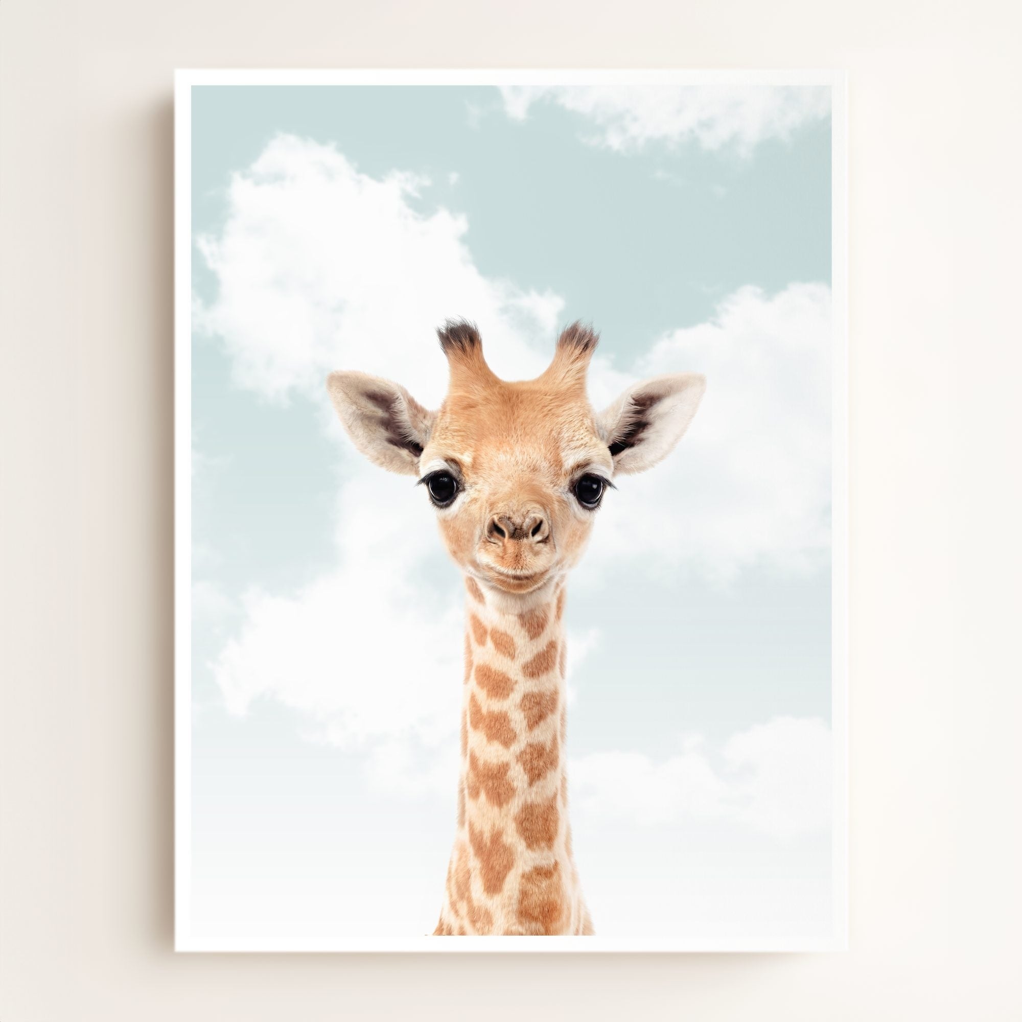 Baby Giraffe
