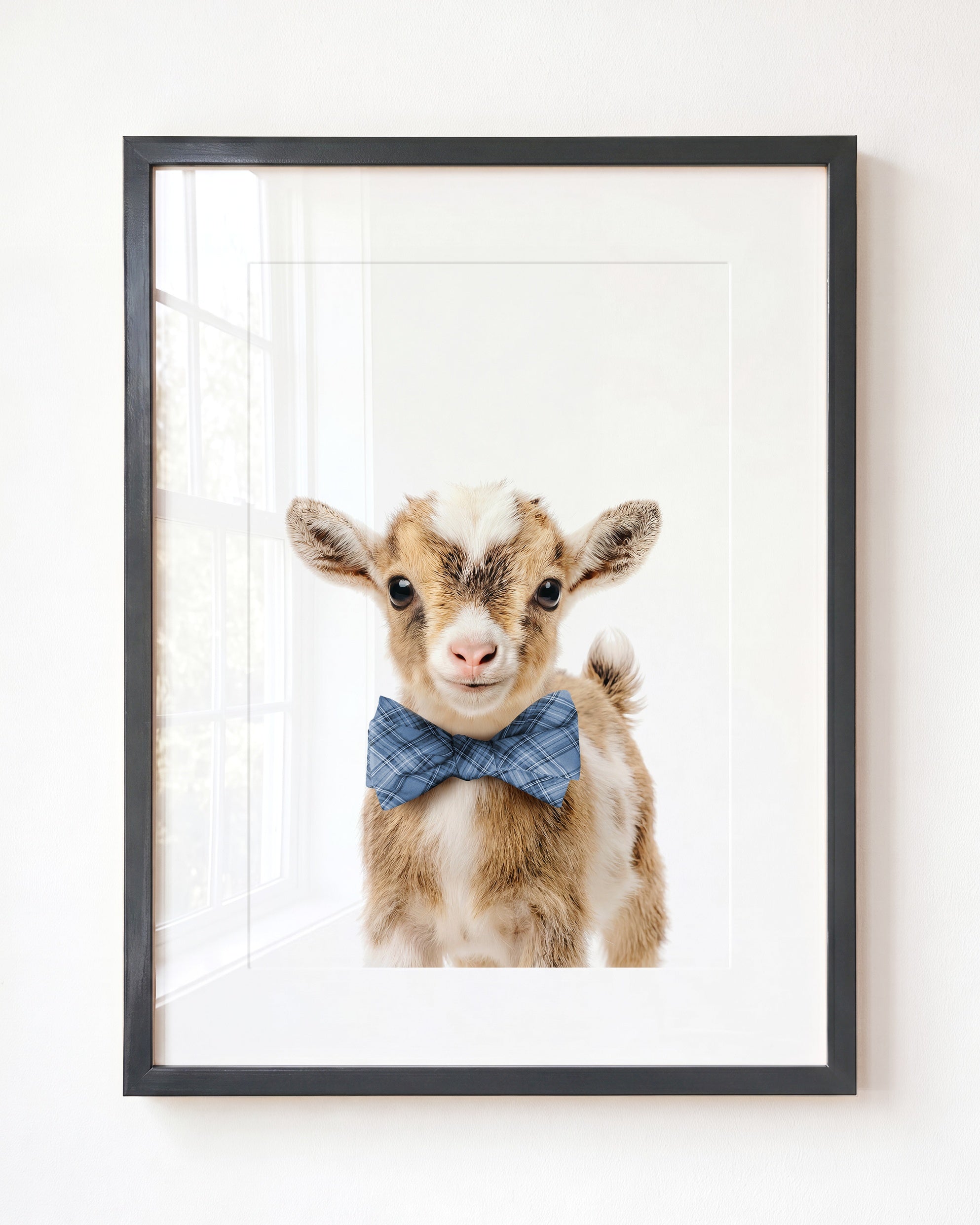 Baby Goat