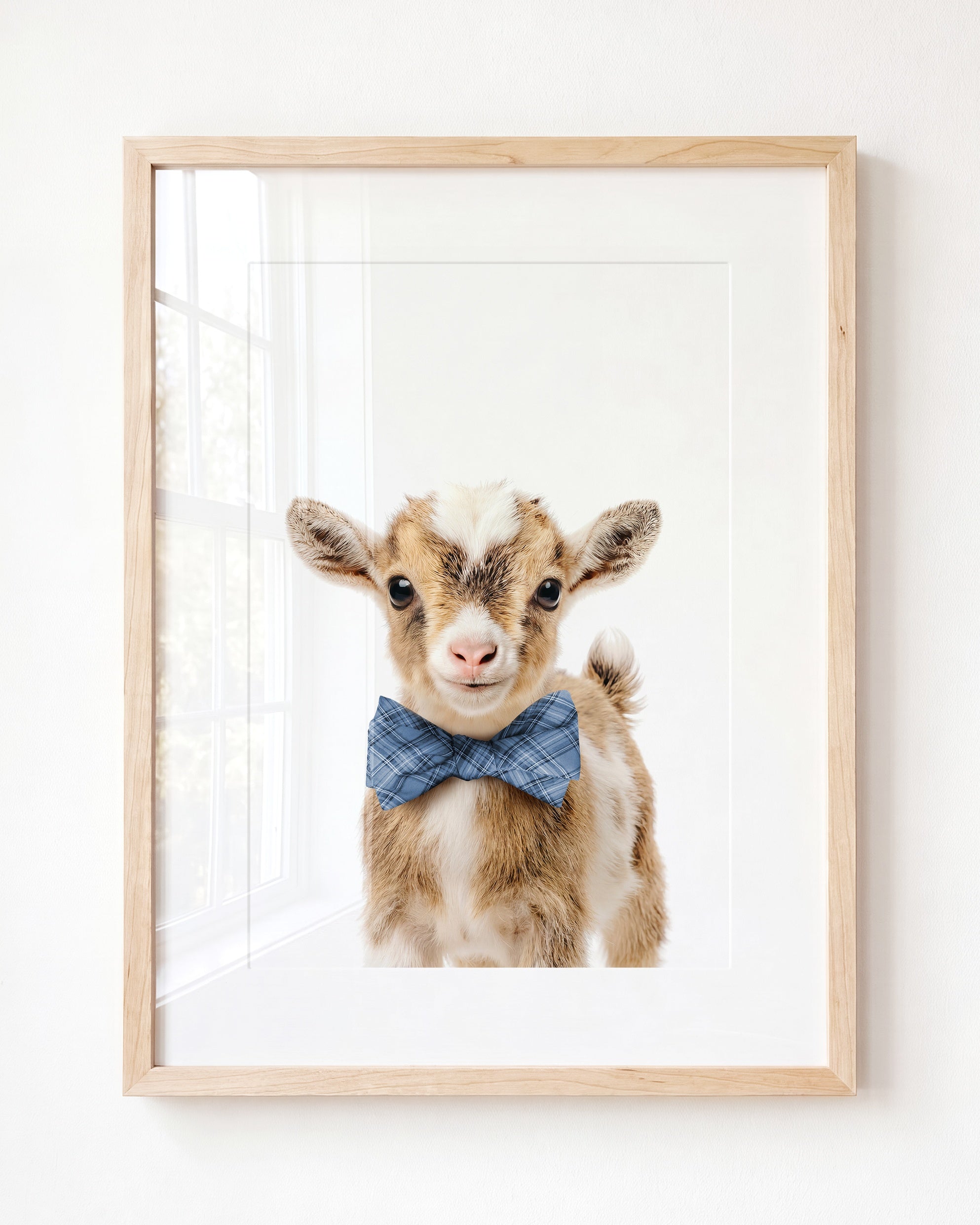 Baby Goat