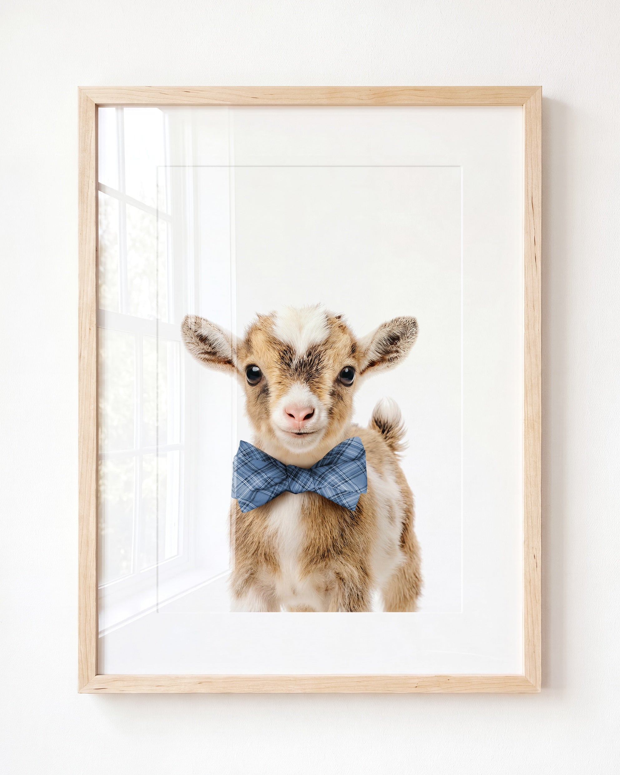 Baby Goat