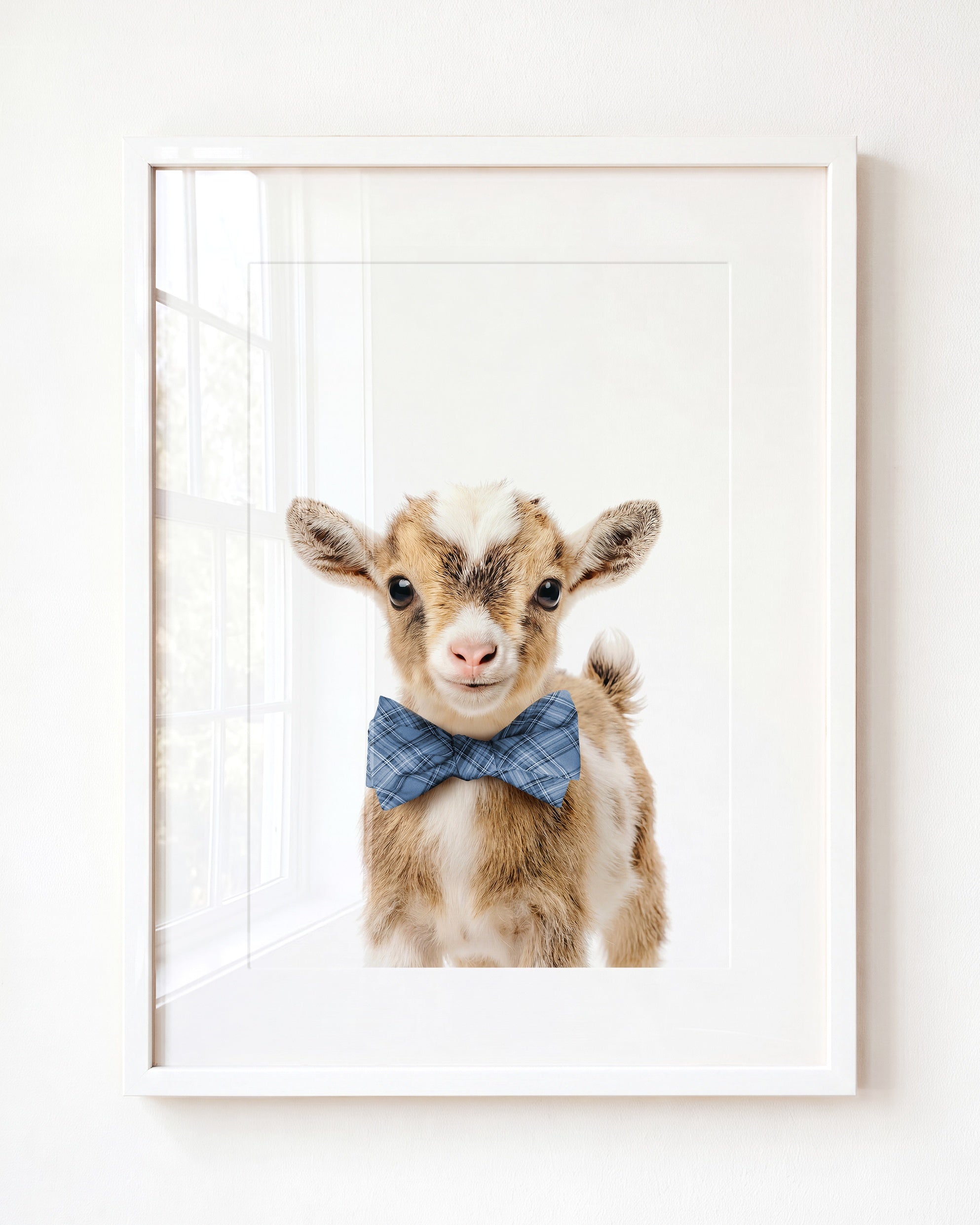 Baby Goat