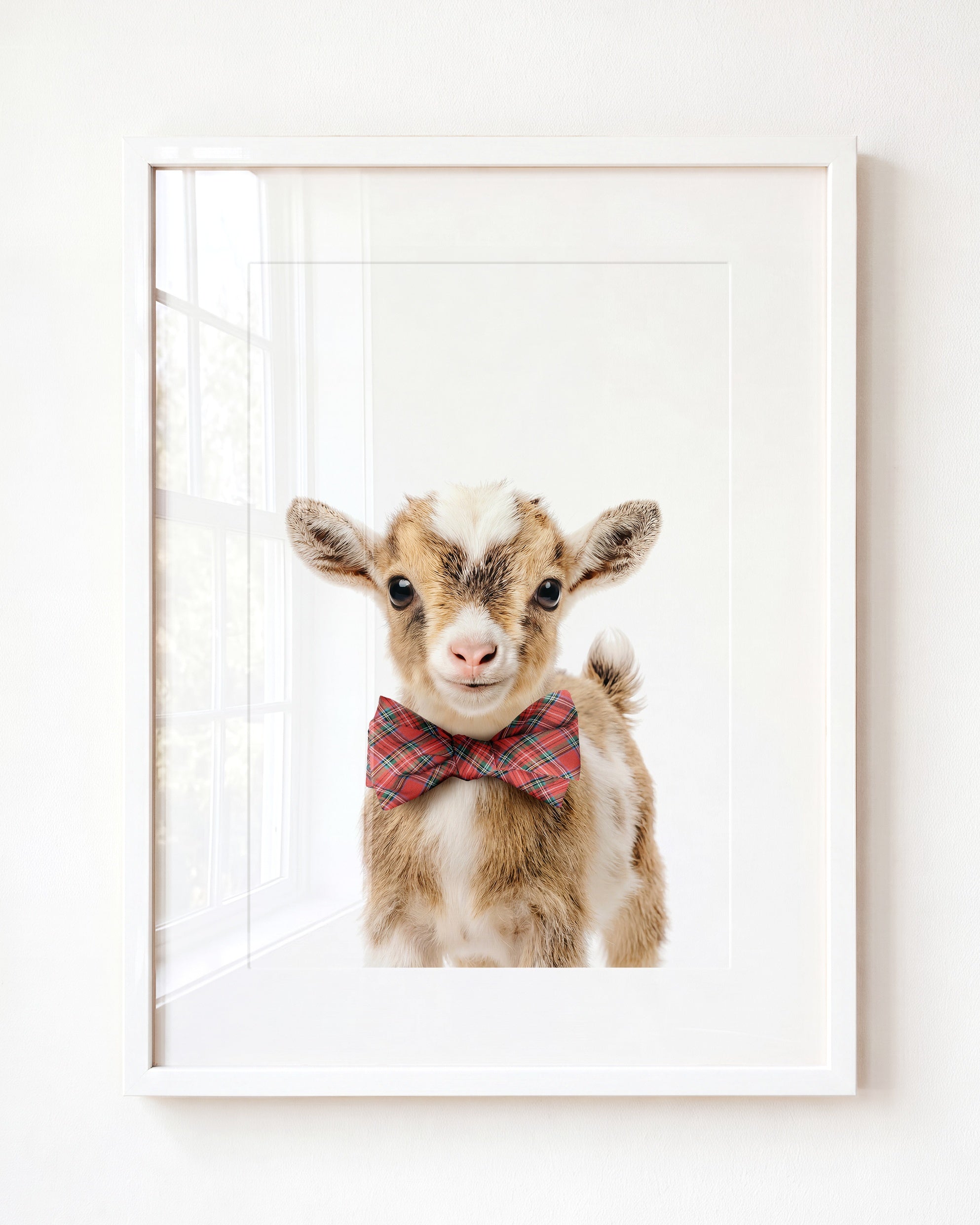 Baby Goat
